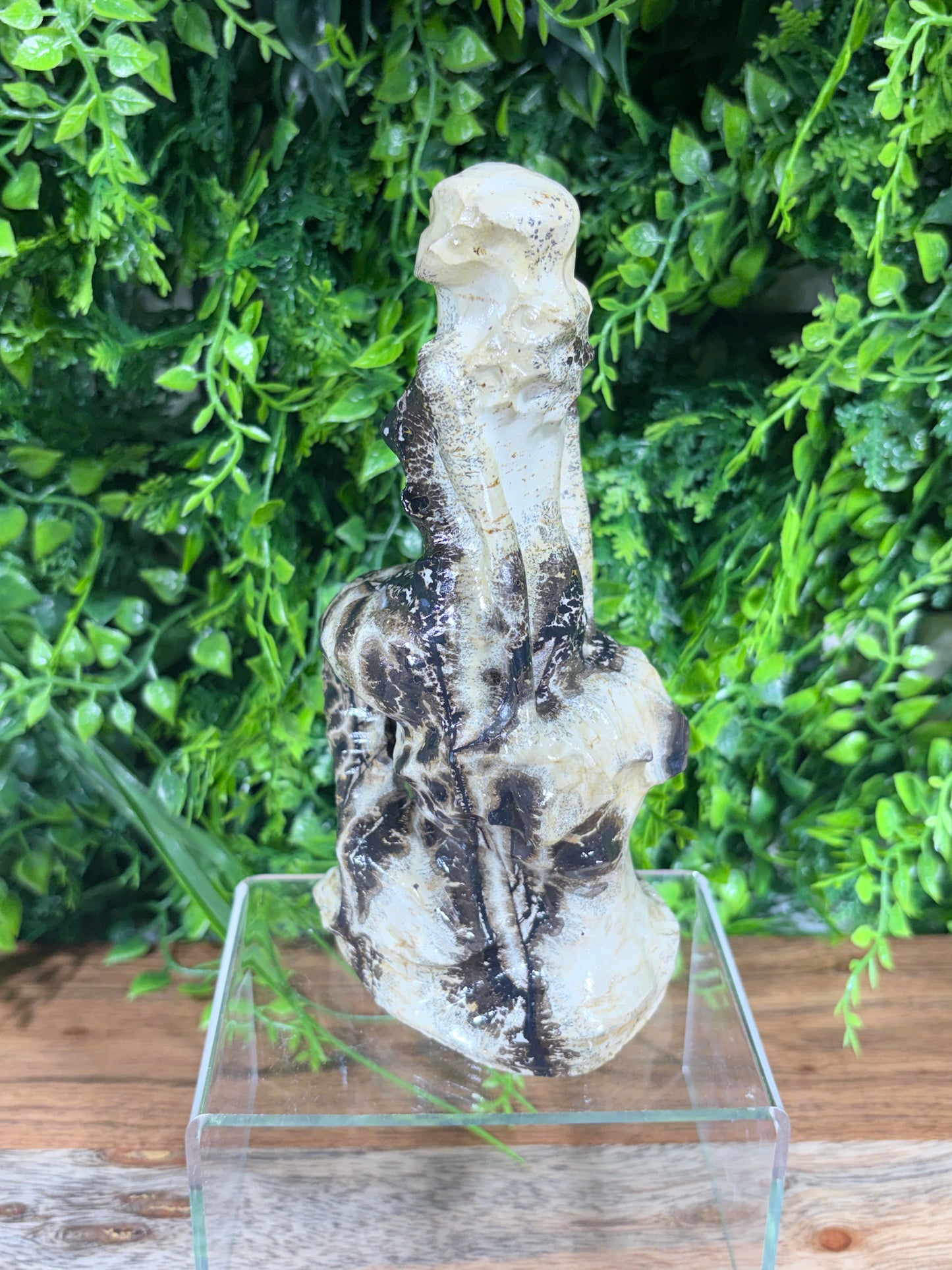 6" Picture Jasper Mermaid Grounding • Inner Wisdom • Adventure