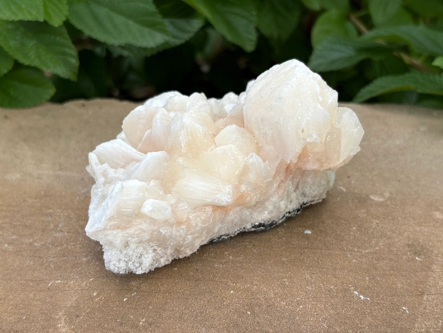 🍑 Raw Stilbite Mineral Specimen – Calm, Intuition & Cosmic Daydreams | 12.20 oz