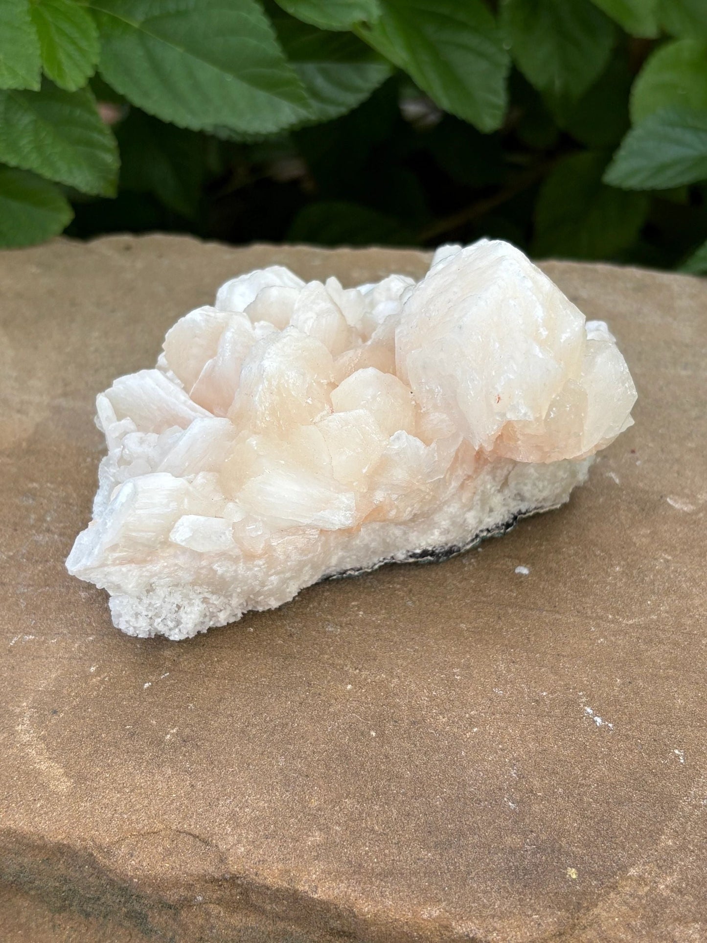 🍑 Raw Stilbite Mineral Specimen – Calm, Intuition & Cosmic Daydreams | 12.20 oz