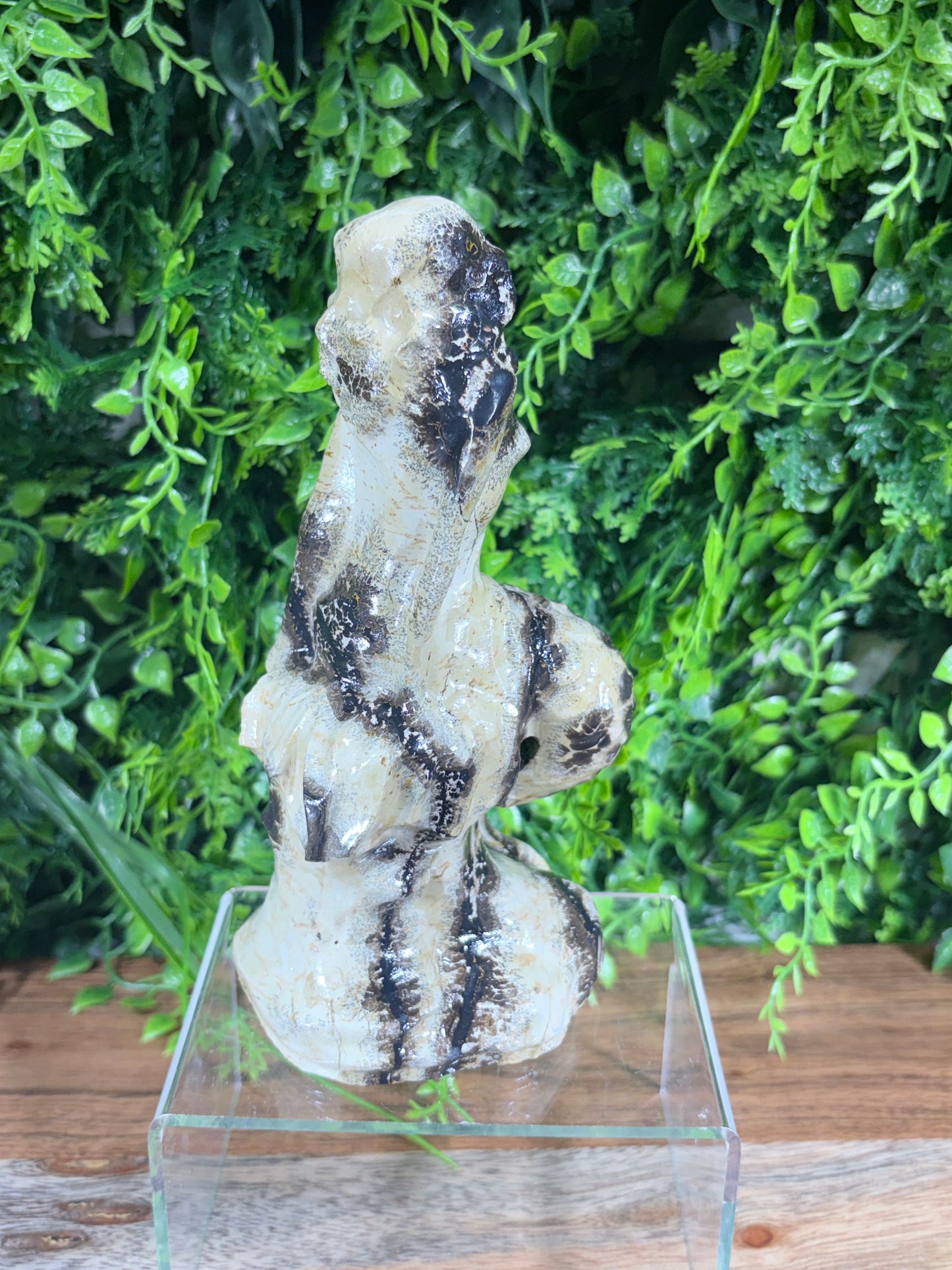 6" Picture Jasper Mermaid Grounding • Inner Wisdom • Adventure