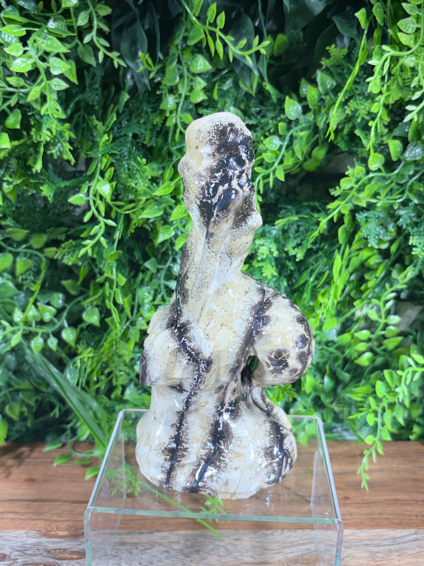 6" Picture Jasper Mermaid Grounding • Inner Wisdom • Adventure
