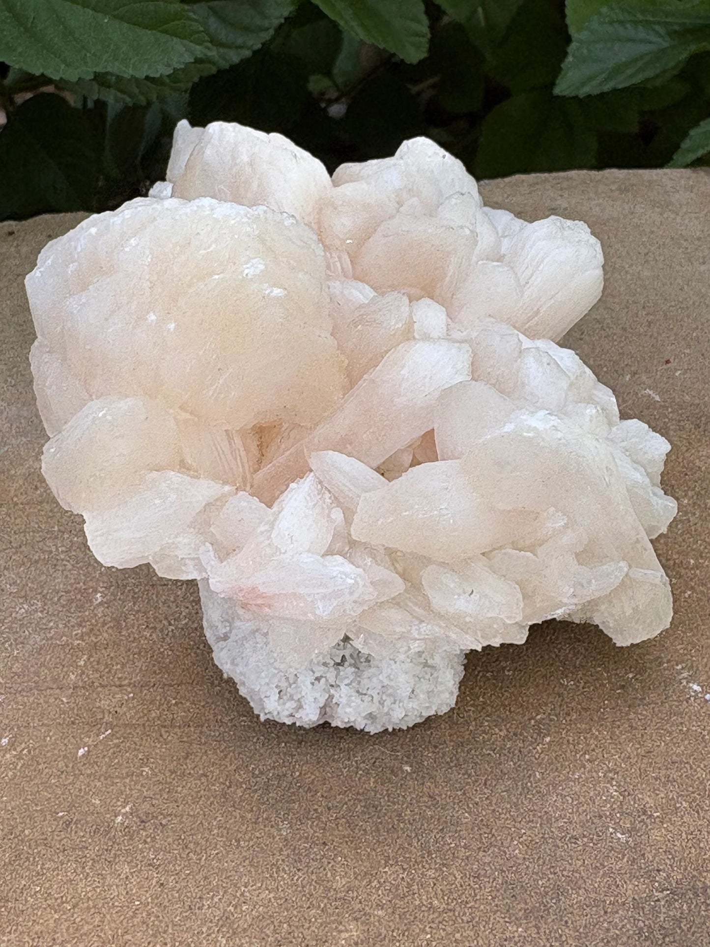 🍑 Raw Stilbite Mineral Specimen – Calm, Intuition & Cosmic Daydreams | 12.20 oz