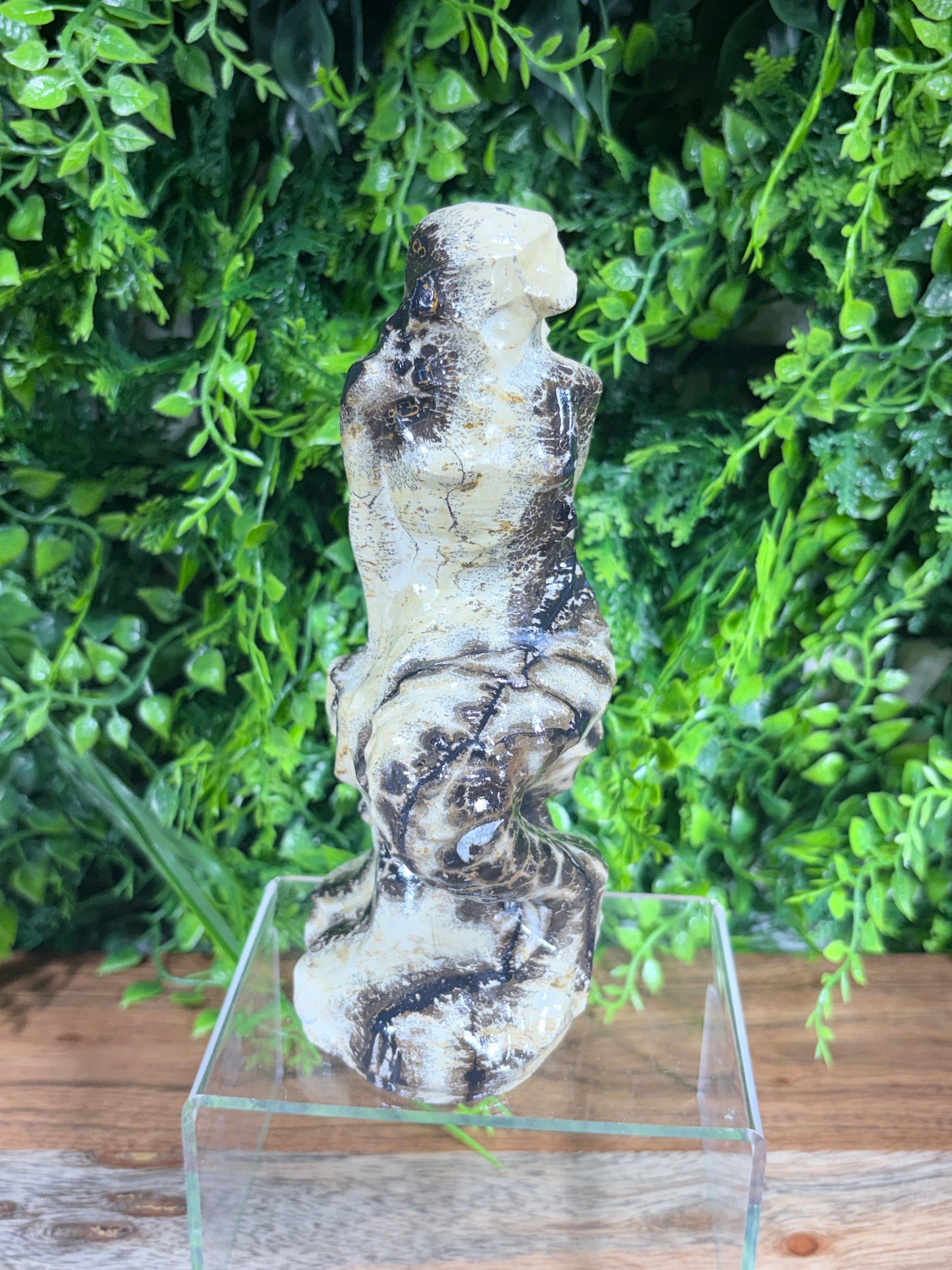 6" Picture Jasper Mermaid Grounding • Inner Wisdom • Adventure