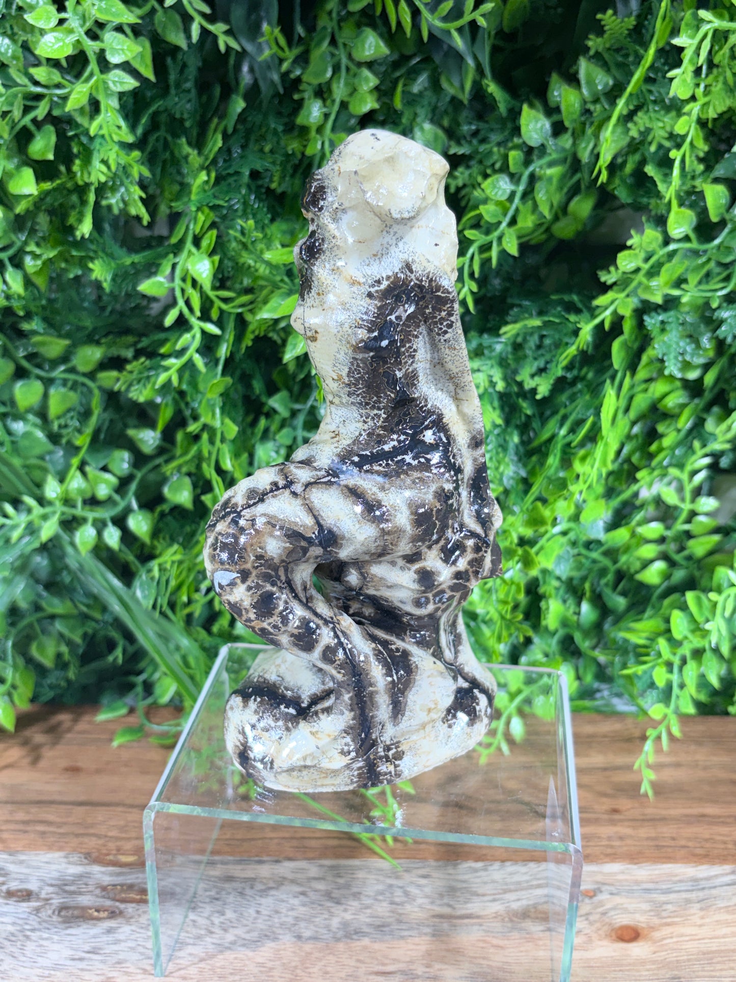6" Picture Jasper Mermaid Grounding • Inner Wisdom • Adventure
