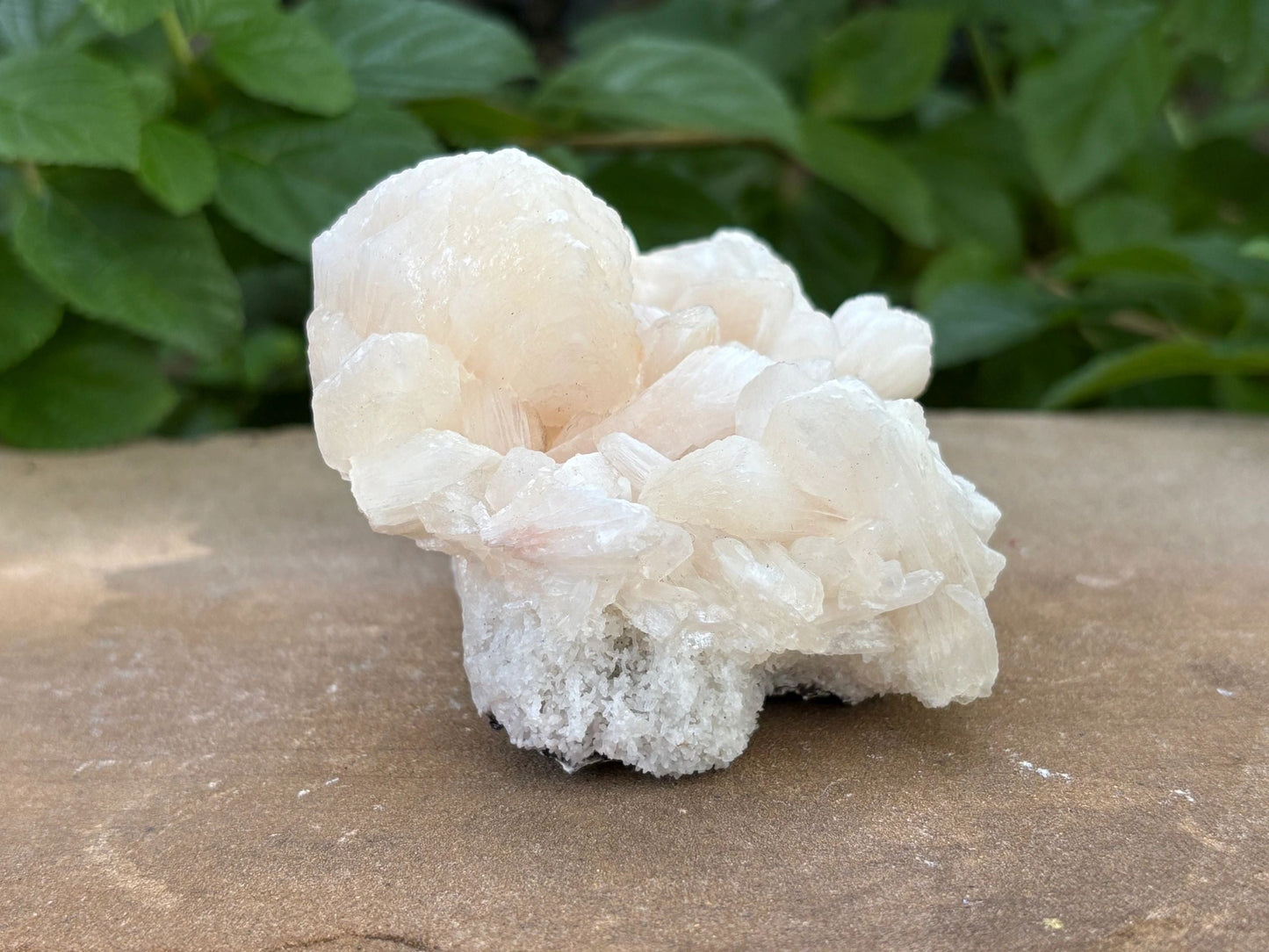 🍑 Raw Stilbite Mineral Specimen – Calm, Intuition & Cosmic Daydreams | 12.20 oz