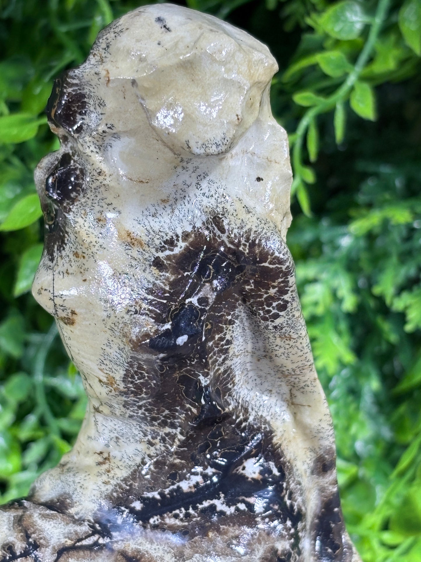 6" Picture Jasper Mermaid Grounding • Inner Wisdom • Adventure