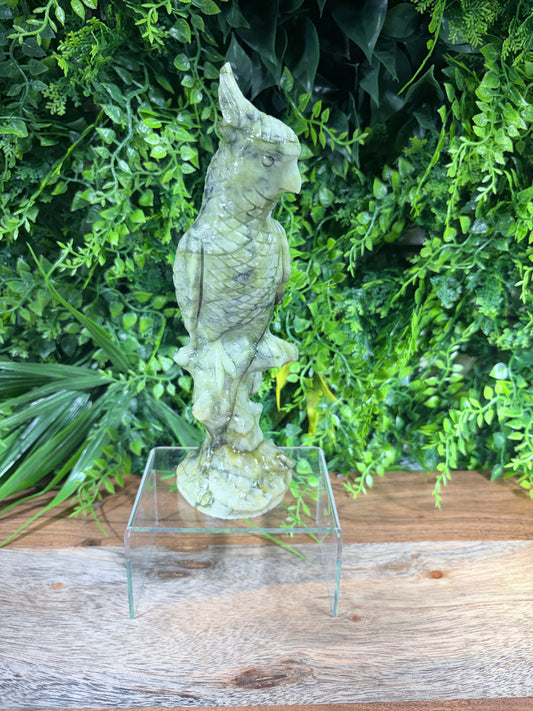 Serpentine "New Jade" Parrot | Prosperity • Growth • Wisdom