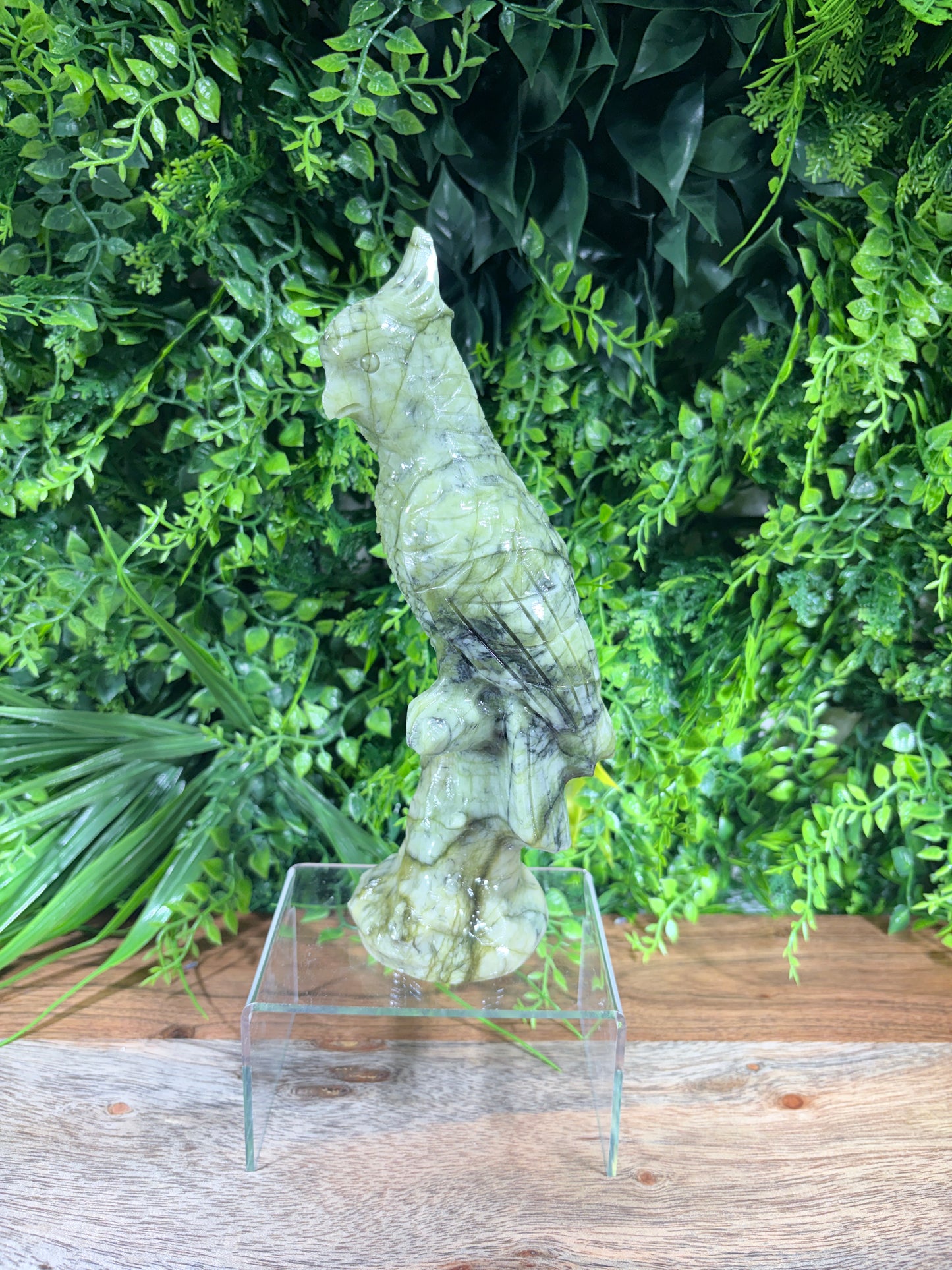 Serpentine "New Jade" Parrot | Prosperity • Growth • Wisdom