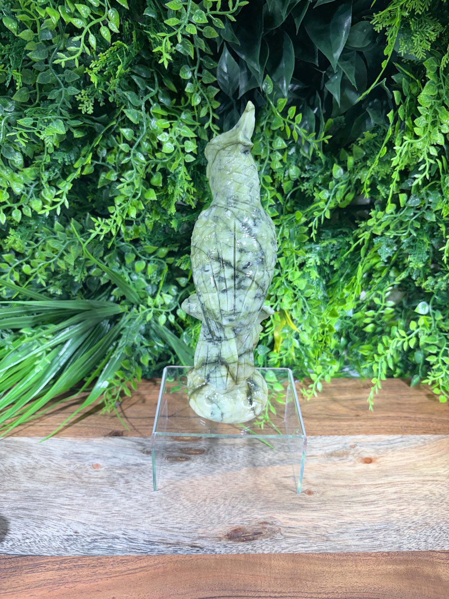 Serpentine "New Jade" Parrot | Prosperity • Growth • Wisdom