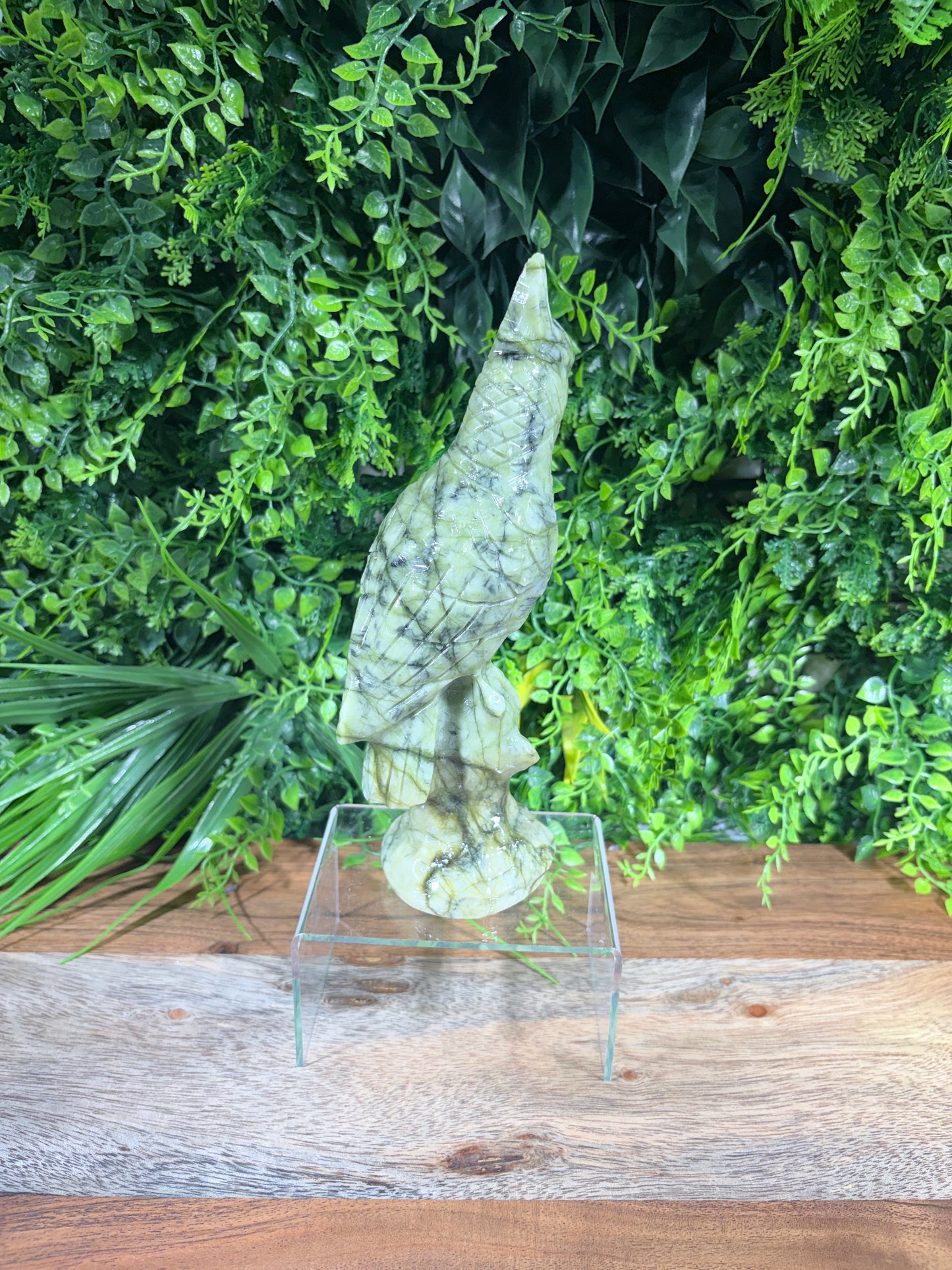 Serpentine "New Jade" Parrot | Prosperity • Growth • Wisdom