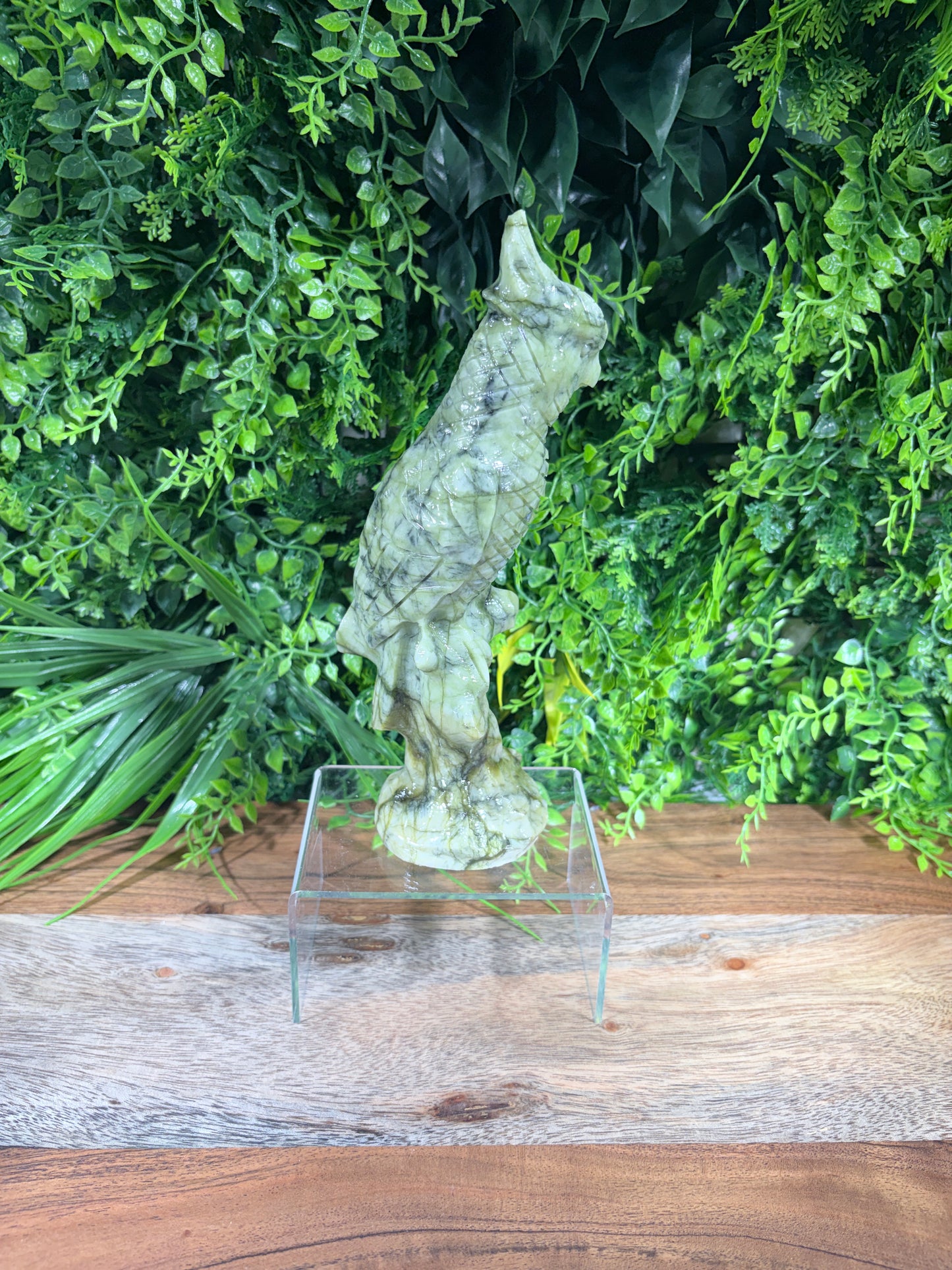 Serpentine "New Jade" Parrot | Prosperity • Growth • Wisdom