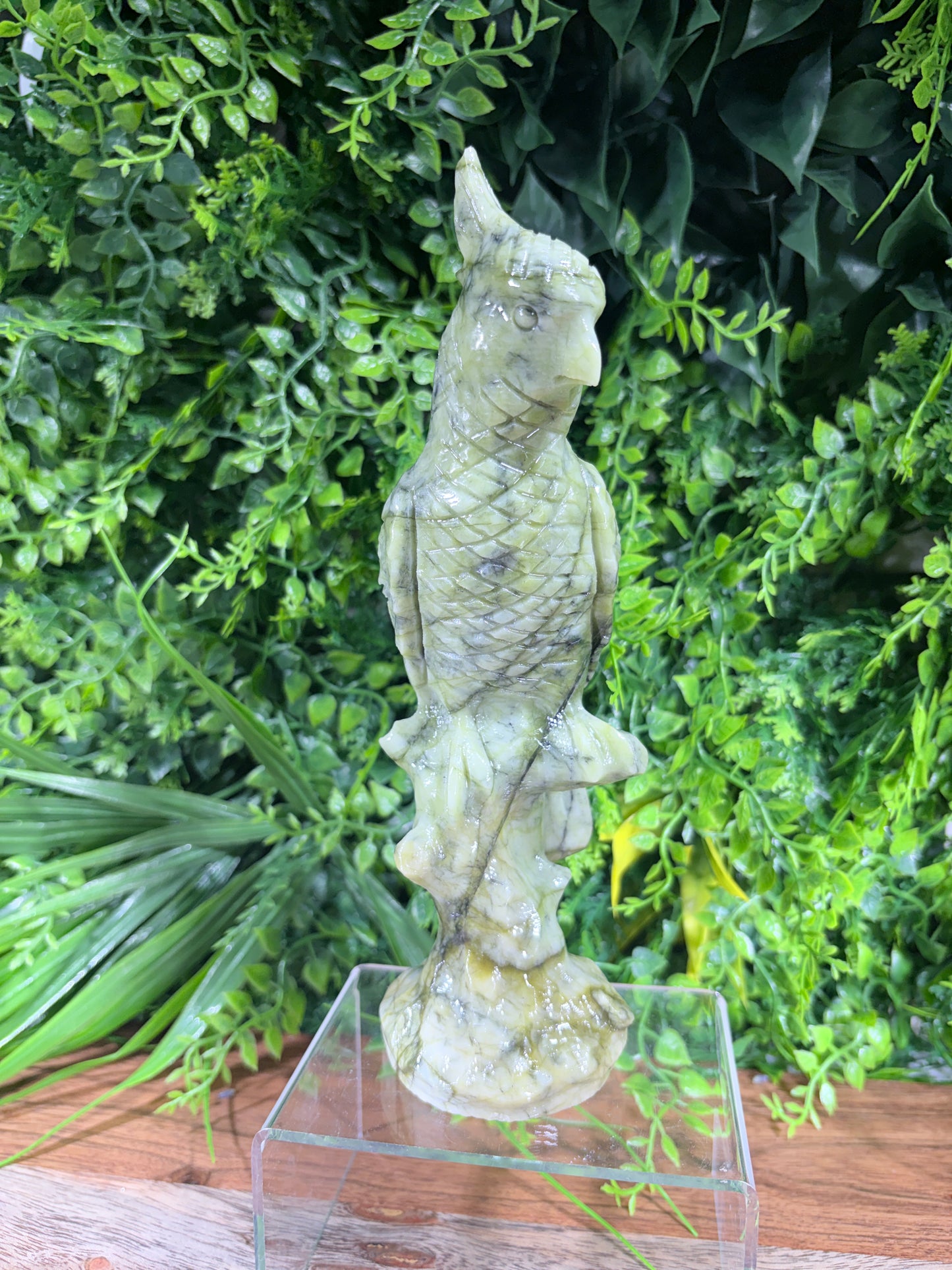 Serpentine "New Jade" Parrot | Prosperity • Growth • Wisdom