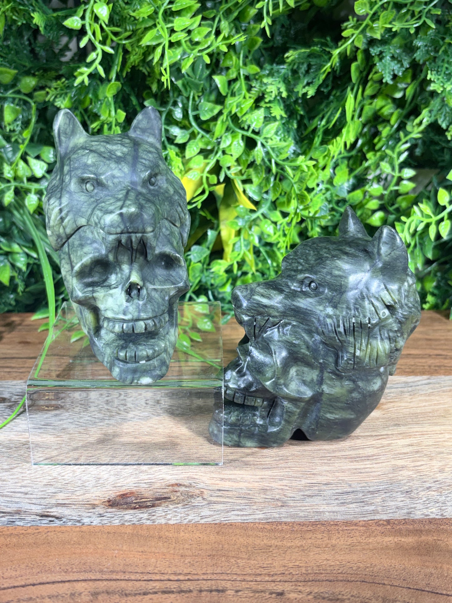 Serpentine Jade Carved Wolf on Skull - Protection, Strength, & Wisdom