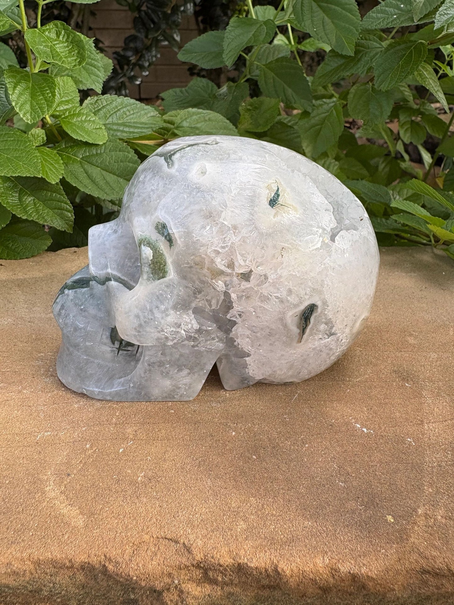 🌿 Moss Agate Skull with Crown Druzy – Strength, Renewal & Growth | 2.26 lbs.