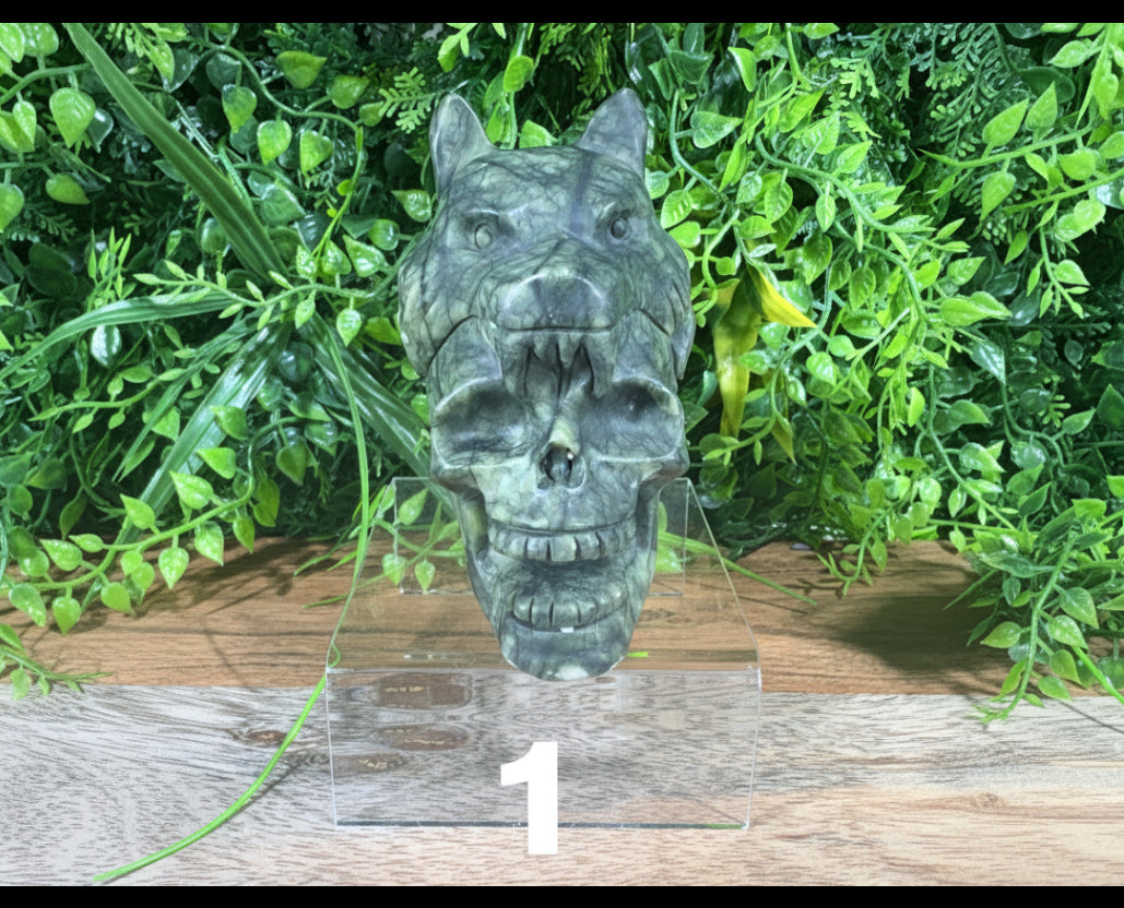 Serpentine Jade Carved Wolf on Skull - Protection, Strength, & Wisdom