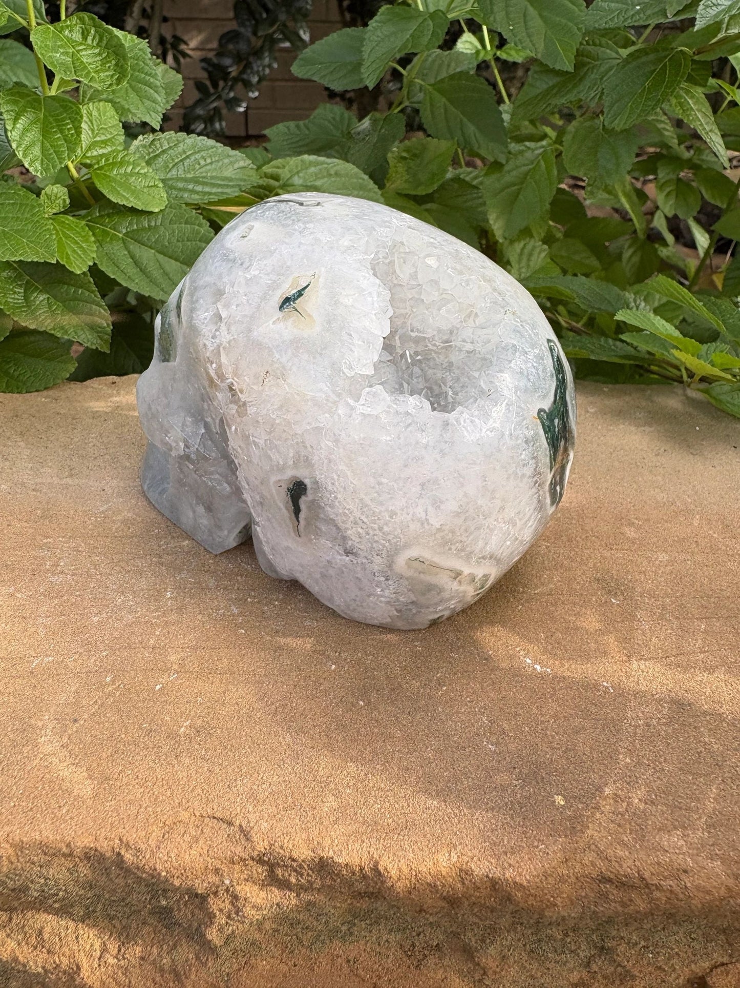 🌿 Moss Agate Skull with Crown Druzy – Strength, Renewal & Growth | 2.26 lbs.