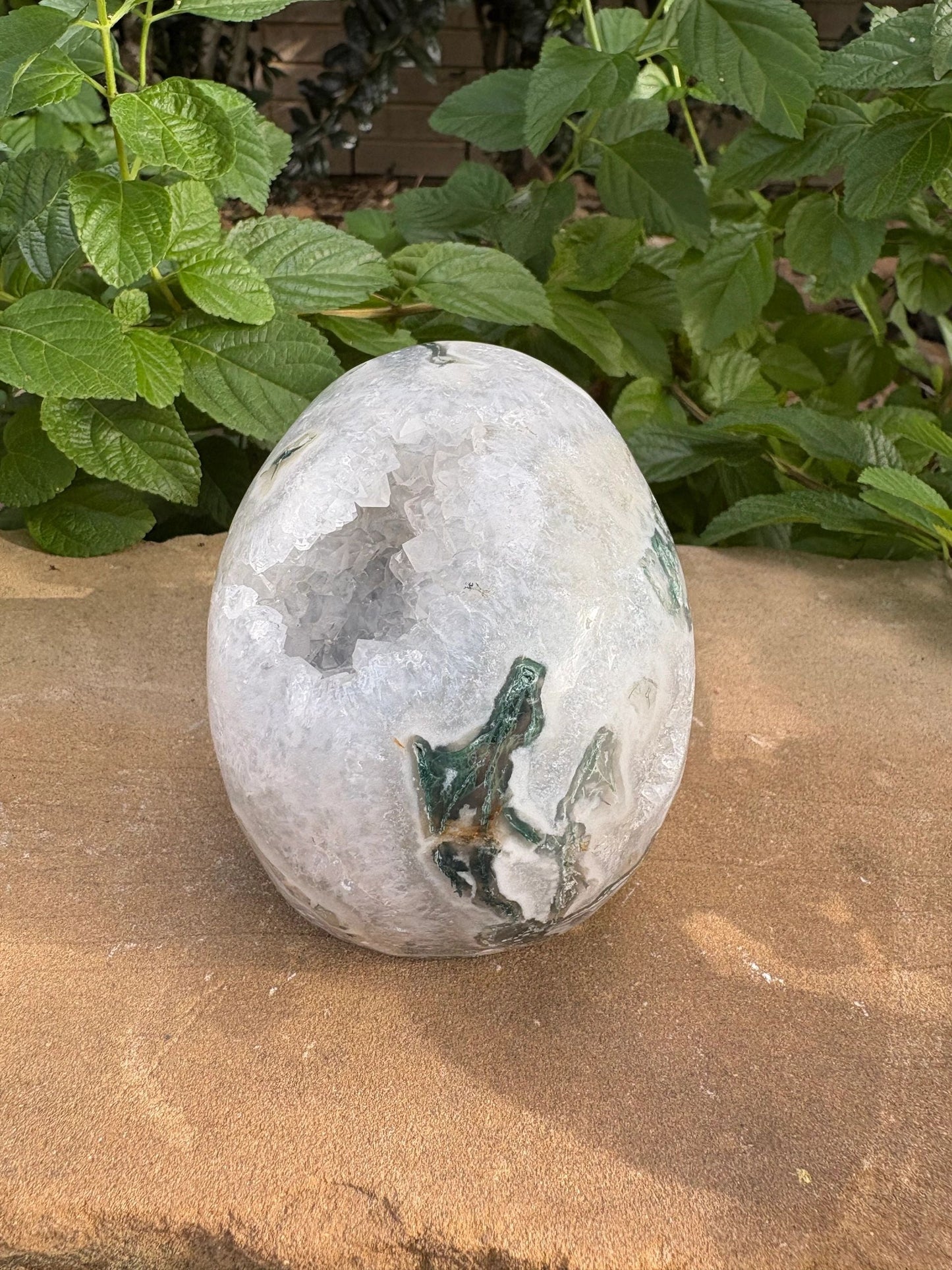 🌿 Moss Agate Skull with Crown Druzy – Strength, Renewal & Growth | 2.26 lbs.