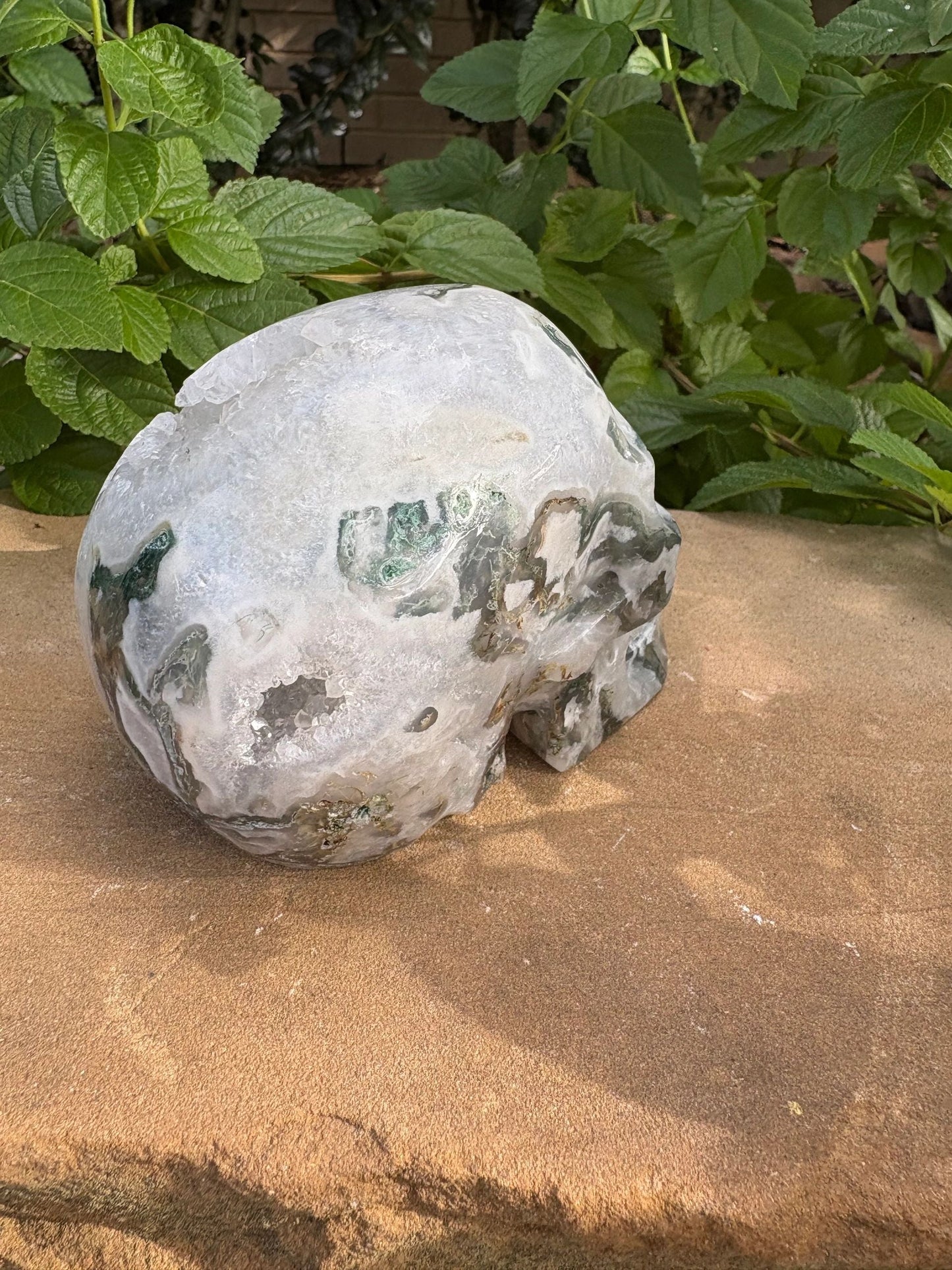 🌿 Moss Agate Skull with Crown Druzy – Strength, Renewal & Growth | 2.26 lbs.