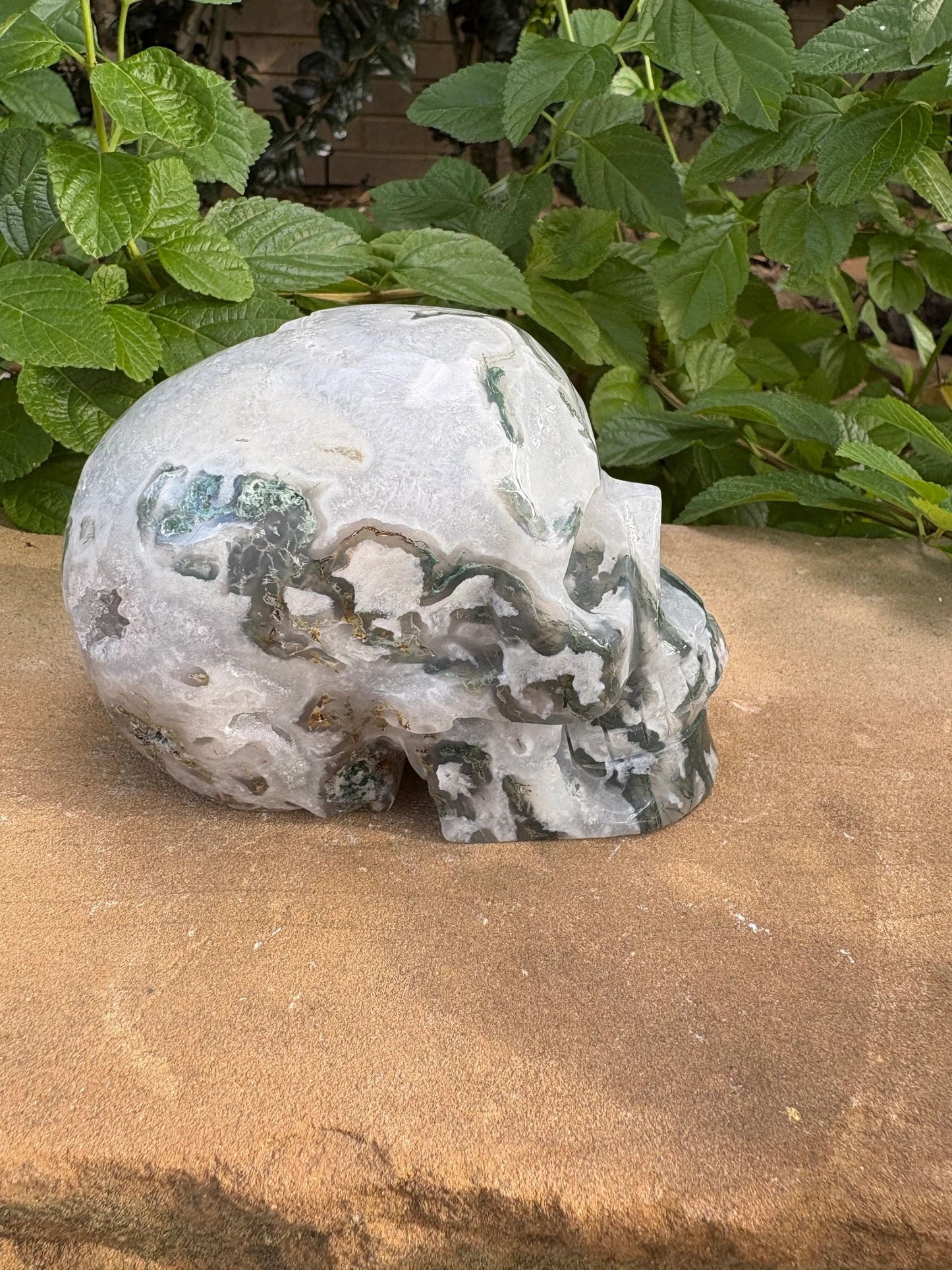🌿 Moss Agate Skull with Crown Druzy – Strength, Renewal & Growth | 2.26 lbs.