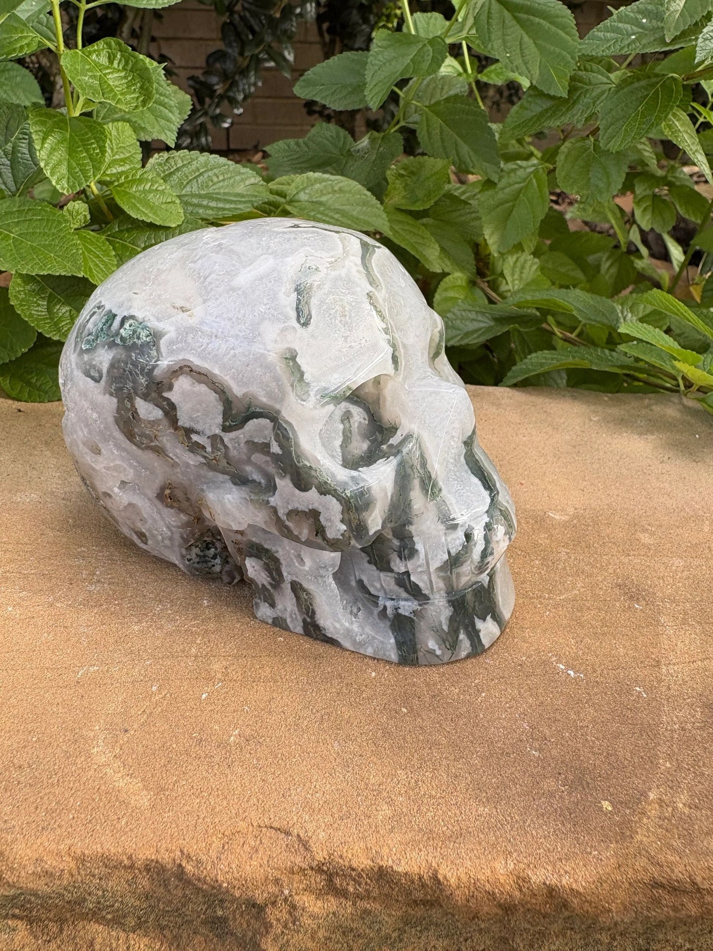 🌿 Moss Agate Skull with Crown Druzy – Strength, Renewal & Growth | 2.26 lbs.