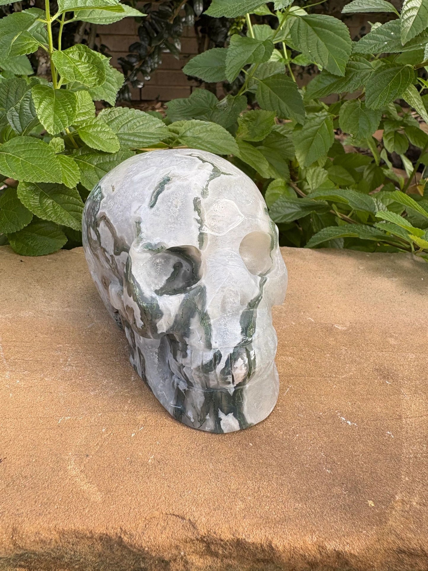🌿 Moss Agate Skull with Crown Druzy – Strength, Renewal & Growth | 2.26 lbs.