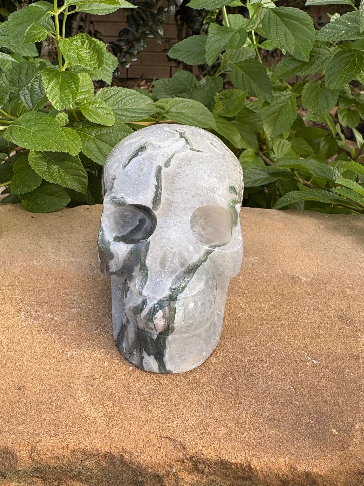 🌿 Moss Agate Skull with Crown Druzy – Strength, Renewal & Growth | 2.26 lbs.