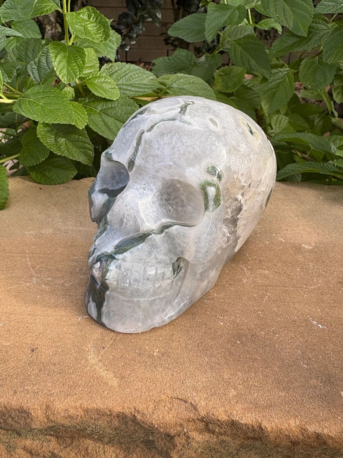 🌿 Moss Agate Skull with Crown Druzy – Strength, Renewal & Growth | 2.26 lbs.