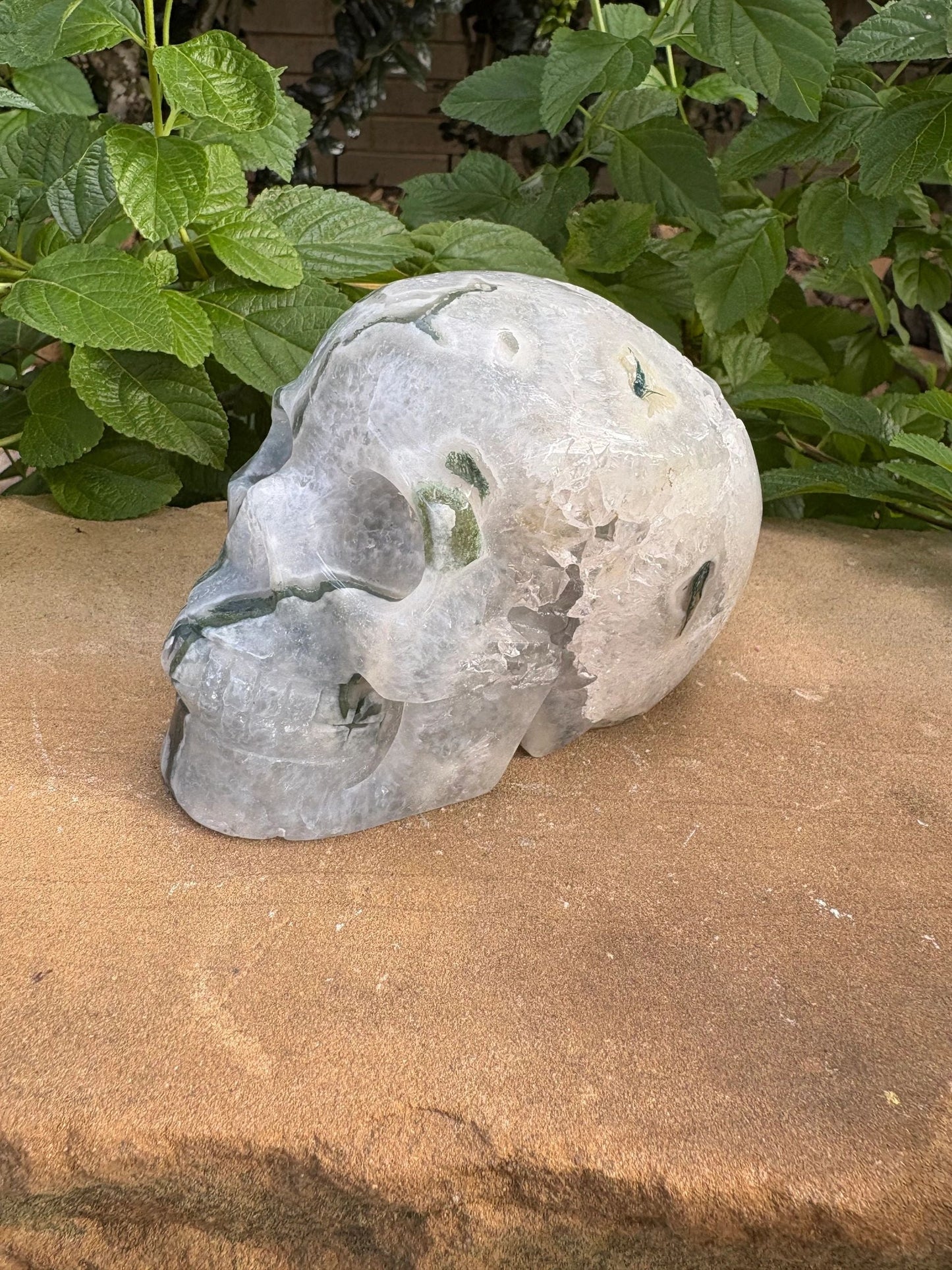 🌿 Moss Agate Skull with Crown Druzy – Strength, Renewal & Growth | 2.26 lbs.