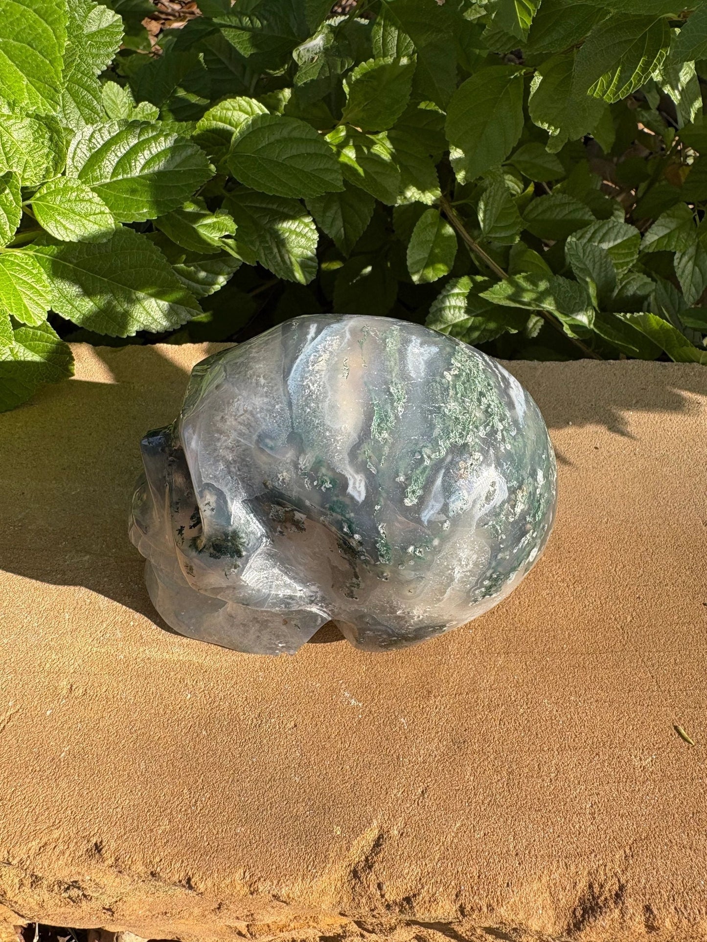 🌍2.18 lb. Moss Agate Skull with Crown Druzy Glow – Planet Earth Vibes, Balance & Wild Renewal