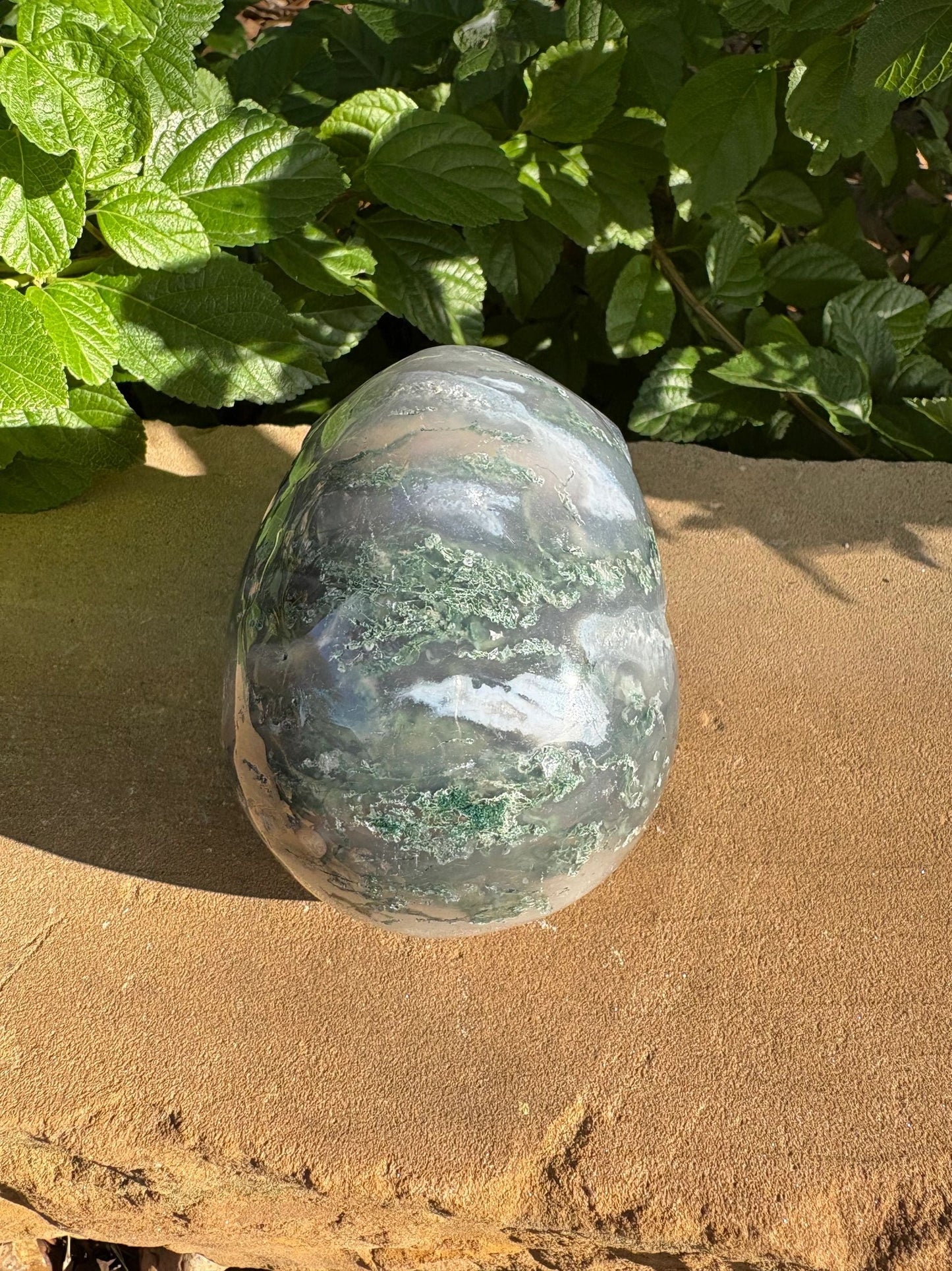 🌍2.18 lb. Moss Agate Skull with Crown Druzy Glow – Planet Earth Vibes, Balance & Wild Renewal
