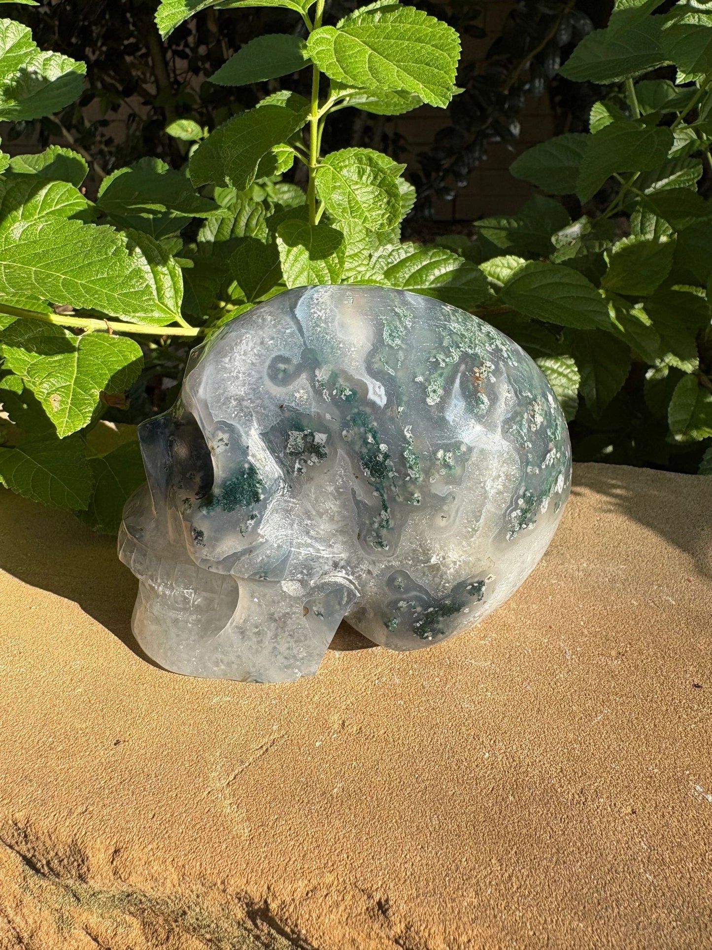 🌍2.18 lb. Moss Agate Skull with Crown Druzy Glow – Planet Earth Vibes, Balance & Wild Renewal