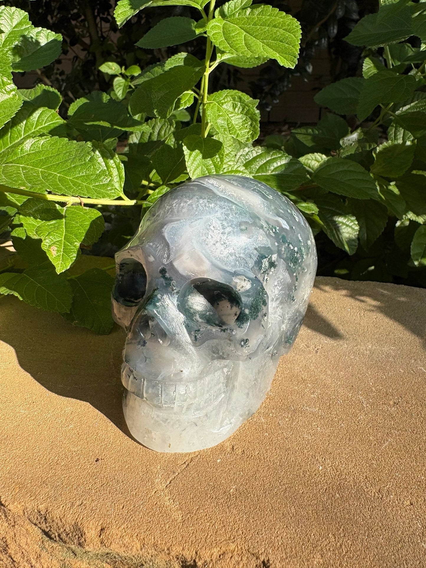 🌍2.18 lb. Moss Agate Skull with Crown Druzy Glow – Planet Earth Vibes, Balance & Wild Renewal