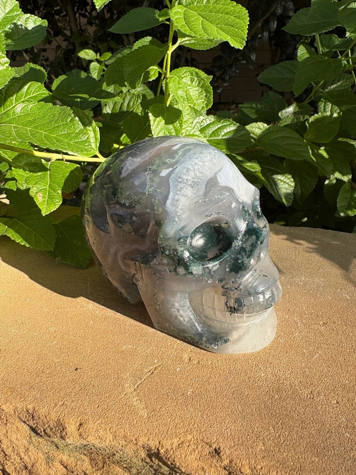🌍2.18 lb. Moss Agate Skull with Crown Druzy Glow – Planet Earth Vibes, Balance & Wild Renewal