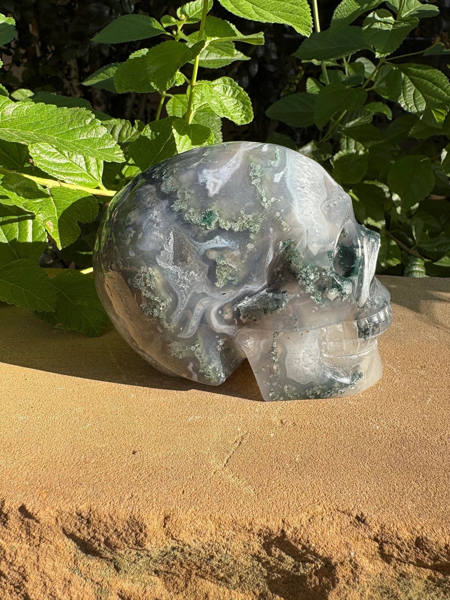 🌍2.18 lb. Moss Agate Skull with Crown Druzy Glow – Planet Earth Vibes, Balance & Wild Renewal