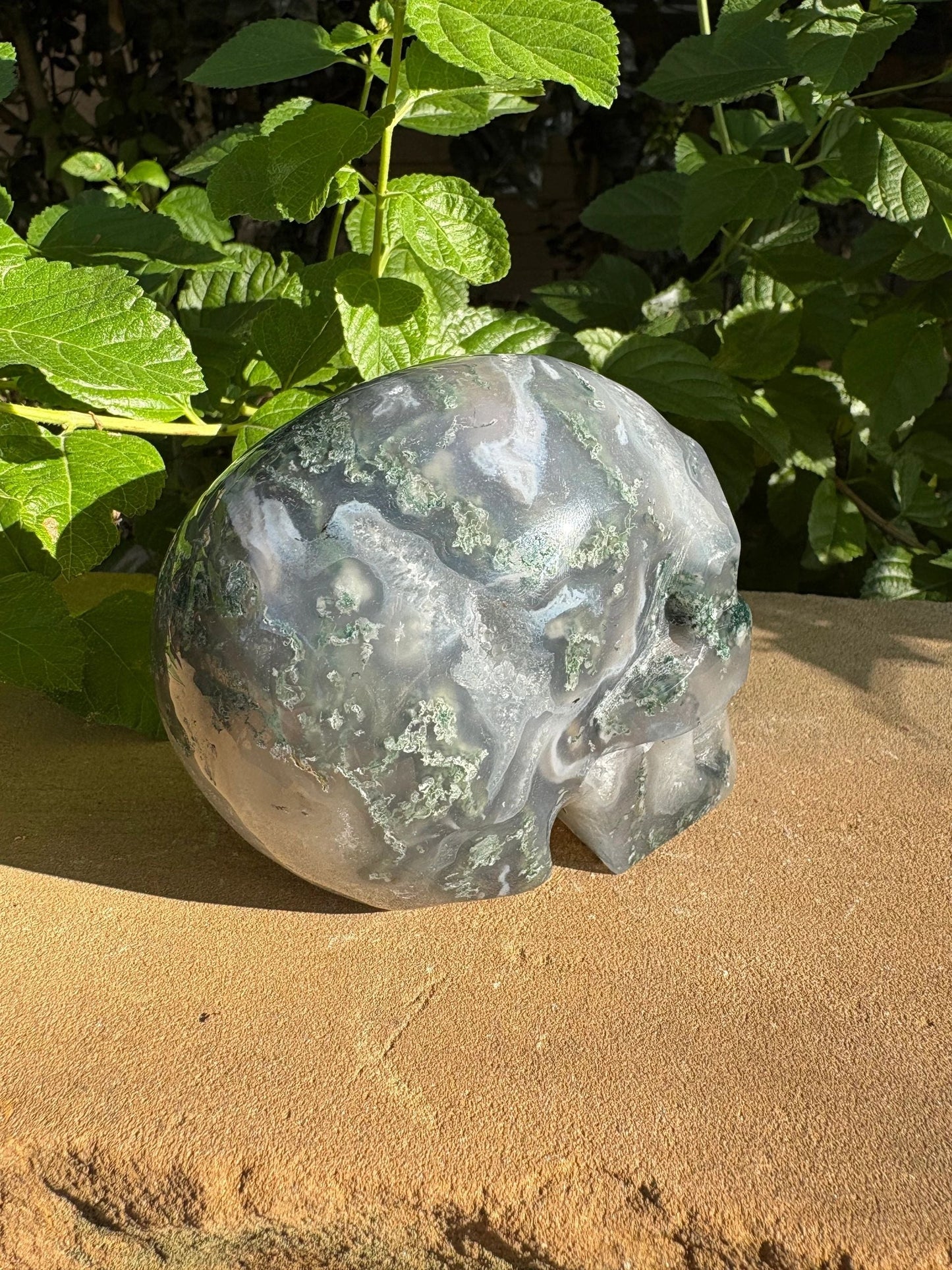 🌍2.18 lb. Moss Agate Skull with Crown Druzy Glow – Planet Earth Vibes, Balance & Wild Renewal