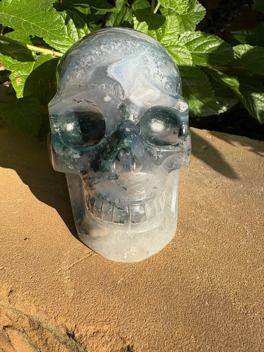 🌍2.18 lb. Moss Agate Skull with Crown Druzy Glow – Planet Earth Vibes, Balance & Wild Renewal