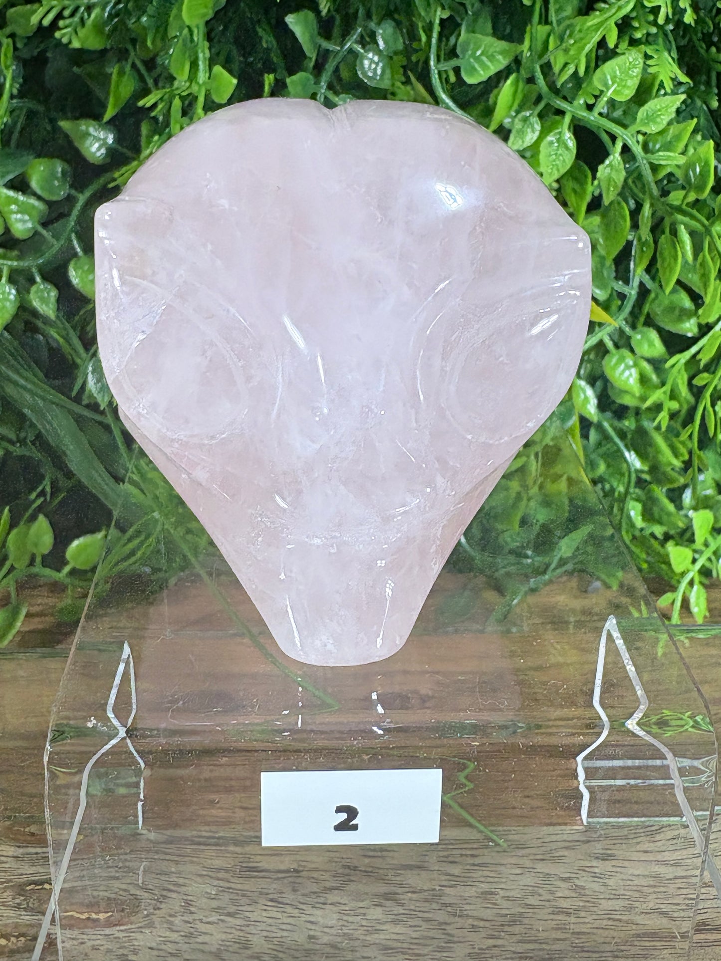 Crystal Alien Carvings - Curiosity • Joy • Cosmic Perspective