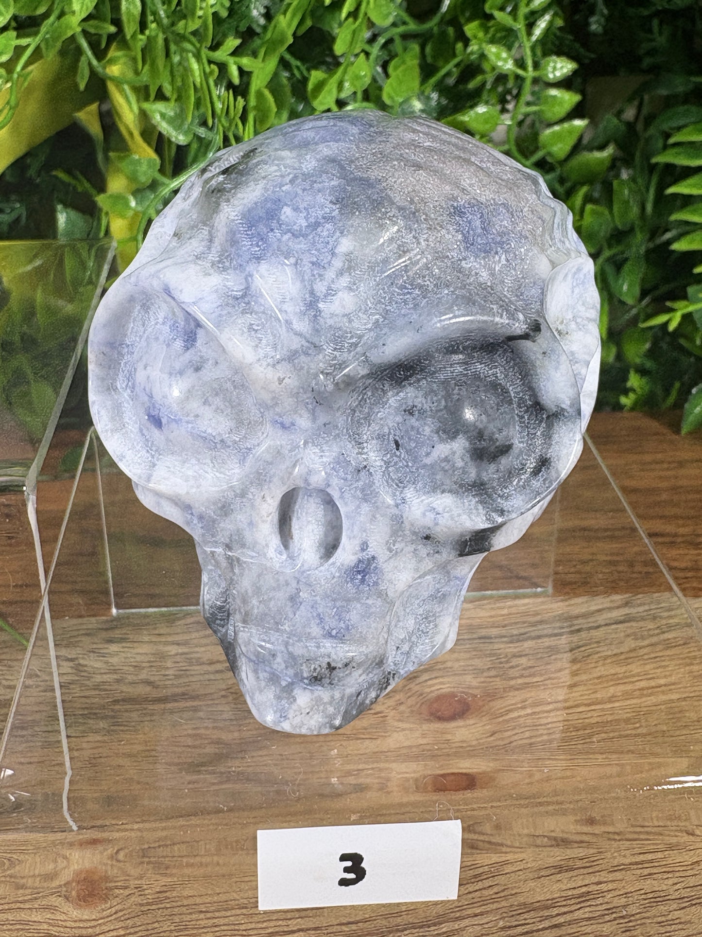 Crystal Alien Carvings - Curiosity • Joy • Cosmic Perspective
