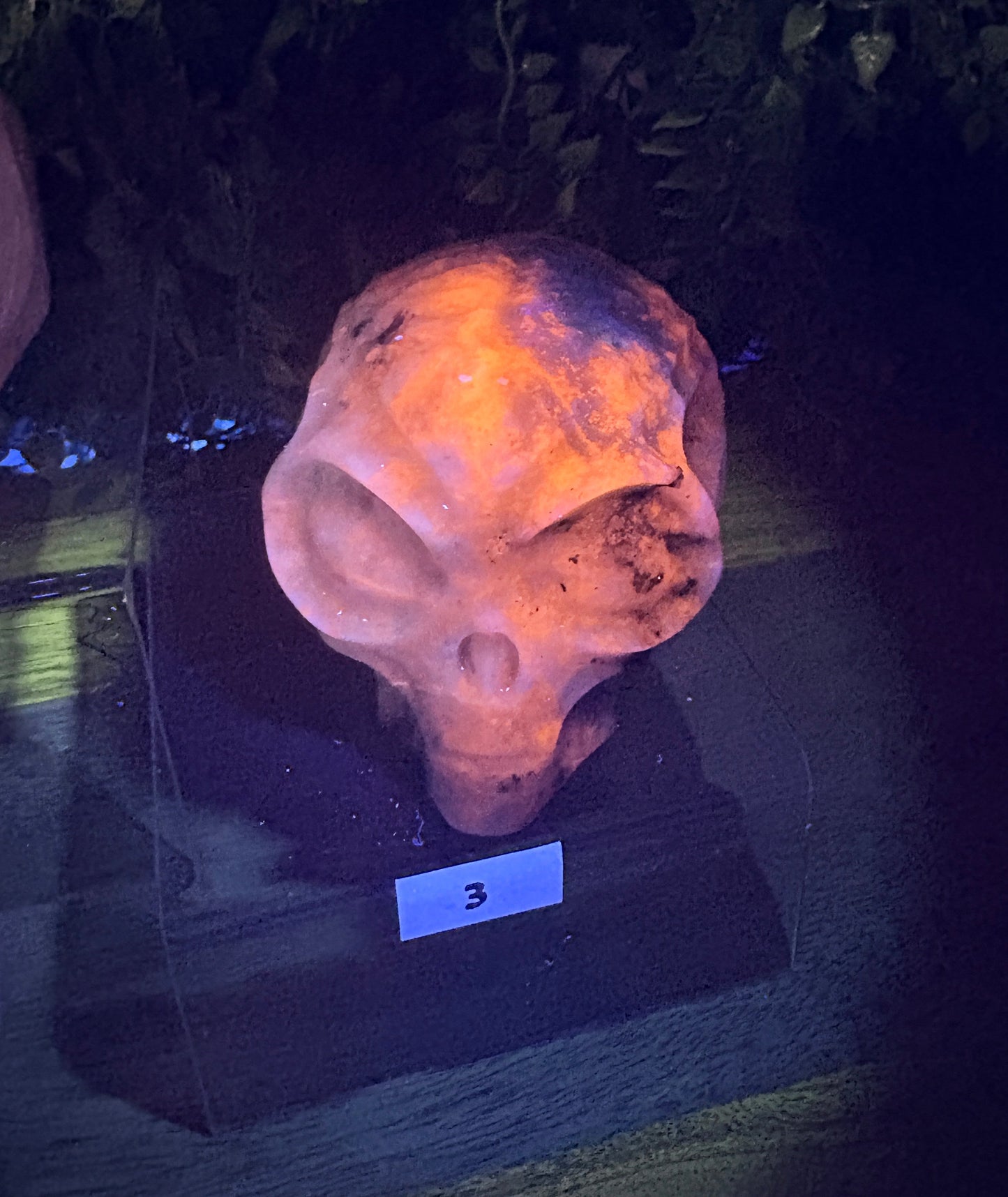 Crystal Alien Carvings - Curiosity • Joy • Cosmic Perspective
