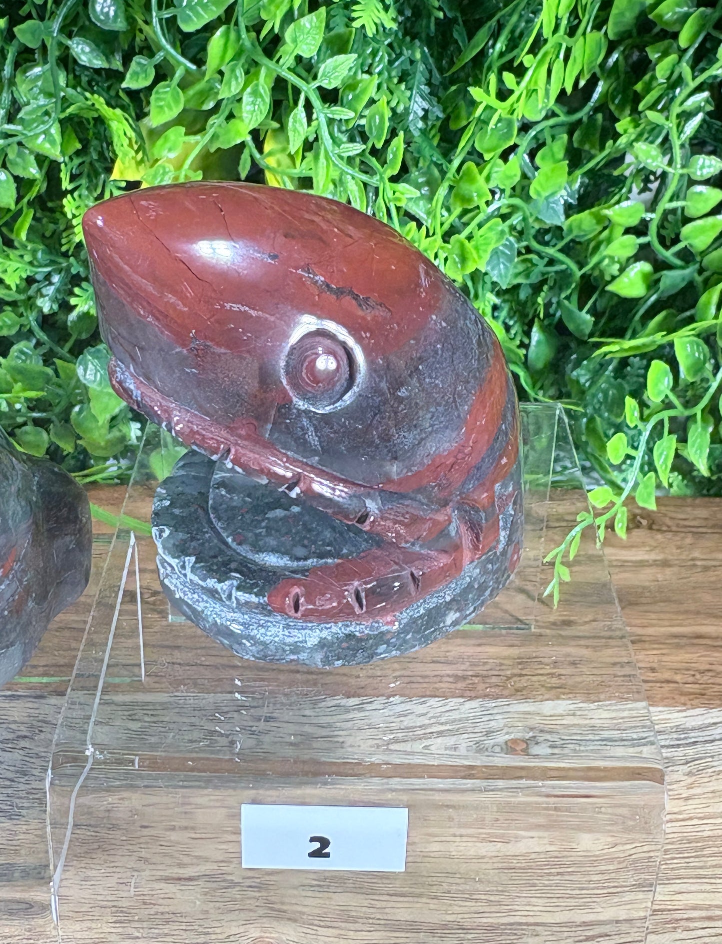 A carved shark head sculpture displayed on a clear acrylic stand on a wooden surface, with a green leafy backdrop and a small label showing the number 2.