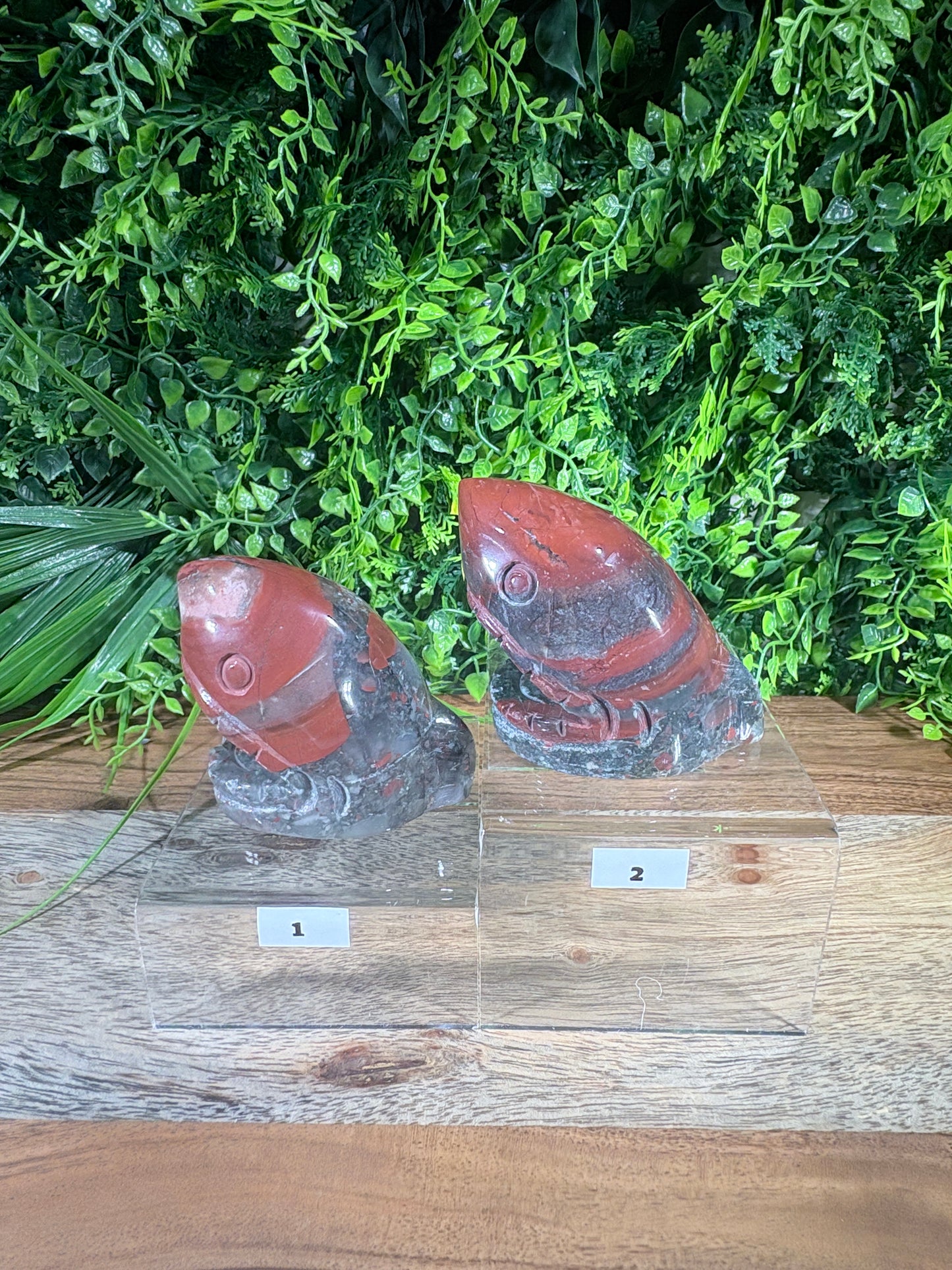 African Bloodstone Shark Head - Courage • Strength • Protection