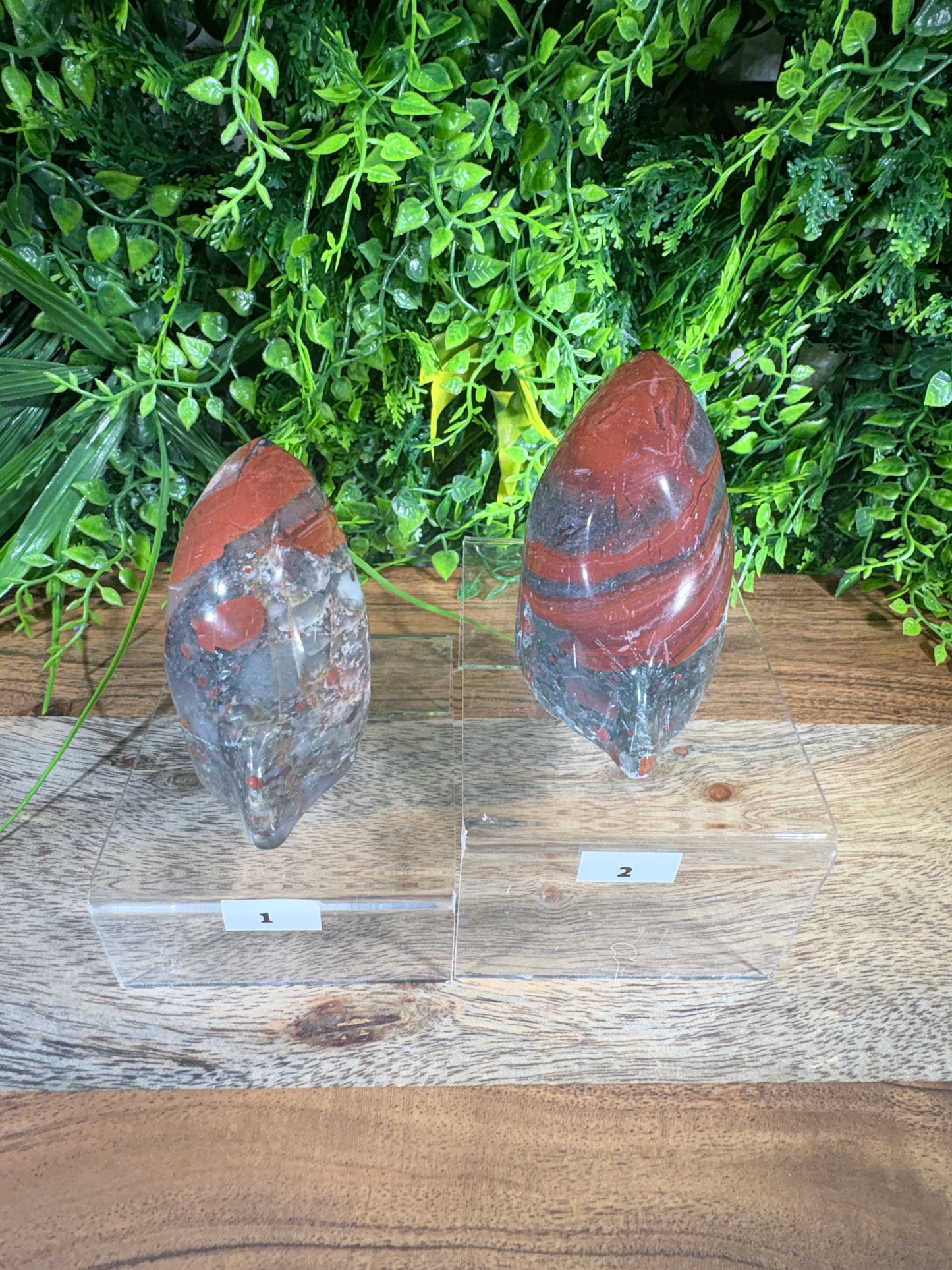 African Bloodstone Shark Head - Courage • Strength • Protection