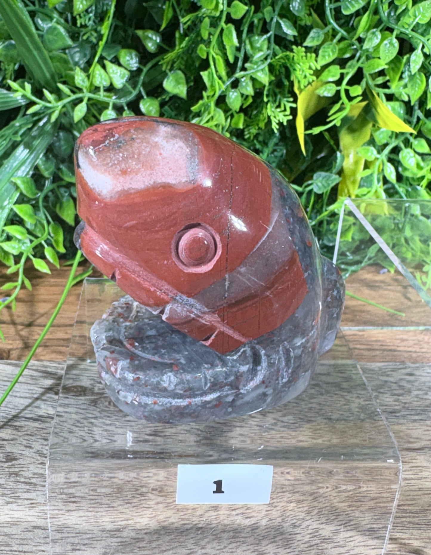 African Bloodstone Shark Head - Courage • Strength • Protection