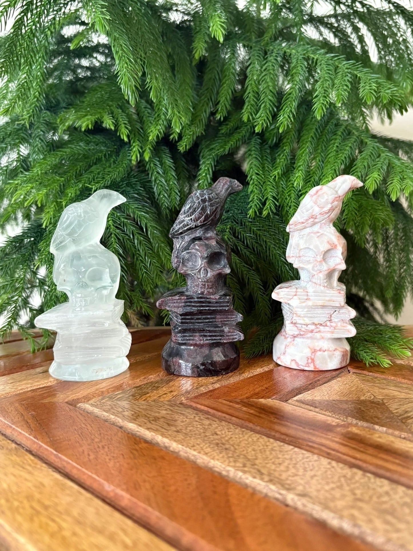 Raven on Skull & Books Statue – Wisdom, Transformation & Protection | Garnet, Red Vein Jasper, or Clear Quartz