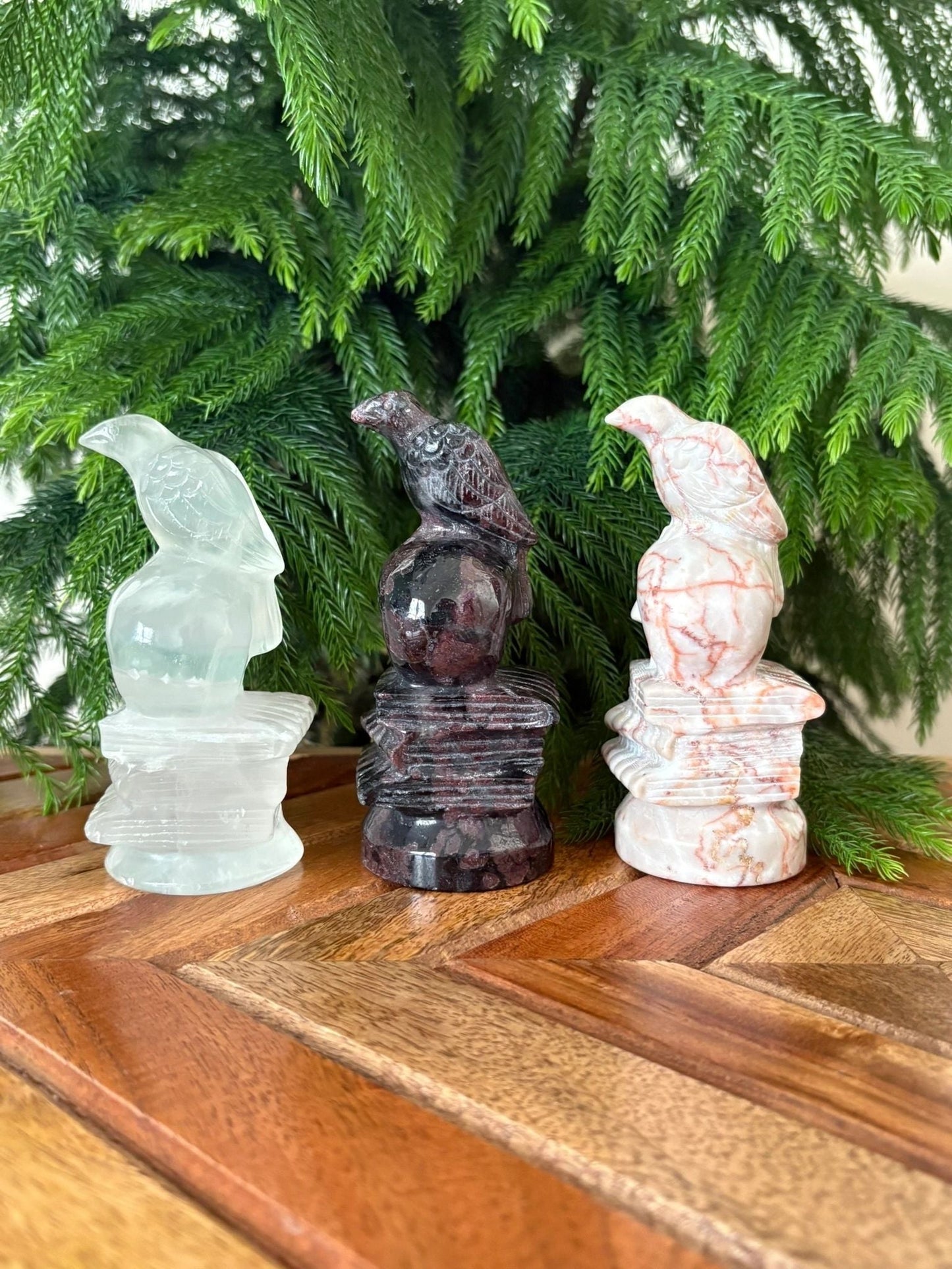 Raven on Skull & Books Statue – Wisdom, Transformation & Protection | Garnet, Red Vein Jasper, or Clear Quartz