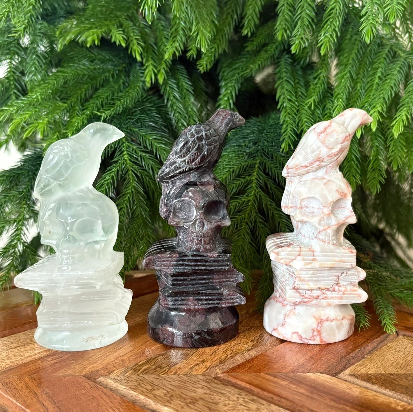 Raven on Skull & Books Statue – Wisdom, Transformation & Protection | Garnet, Red Vein Jasper, or Clear Quartz