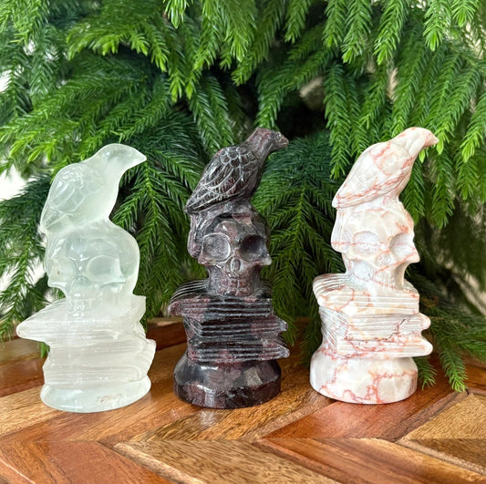 Raven on Skull & Books Statue – Wisdom, Transformation & Protection | Garnet, Red Vein Jasper, or Clear Quartz