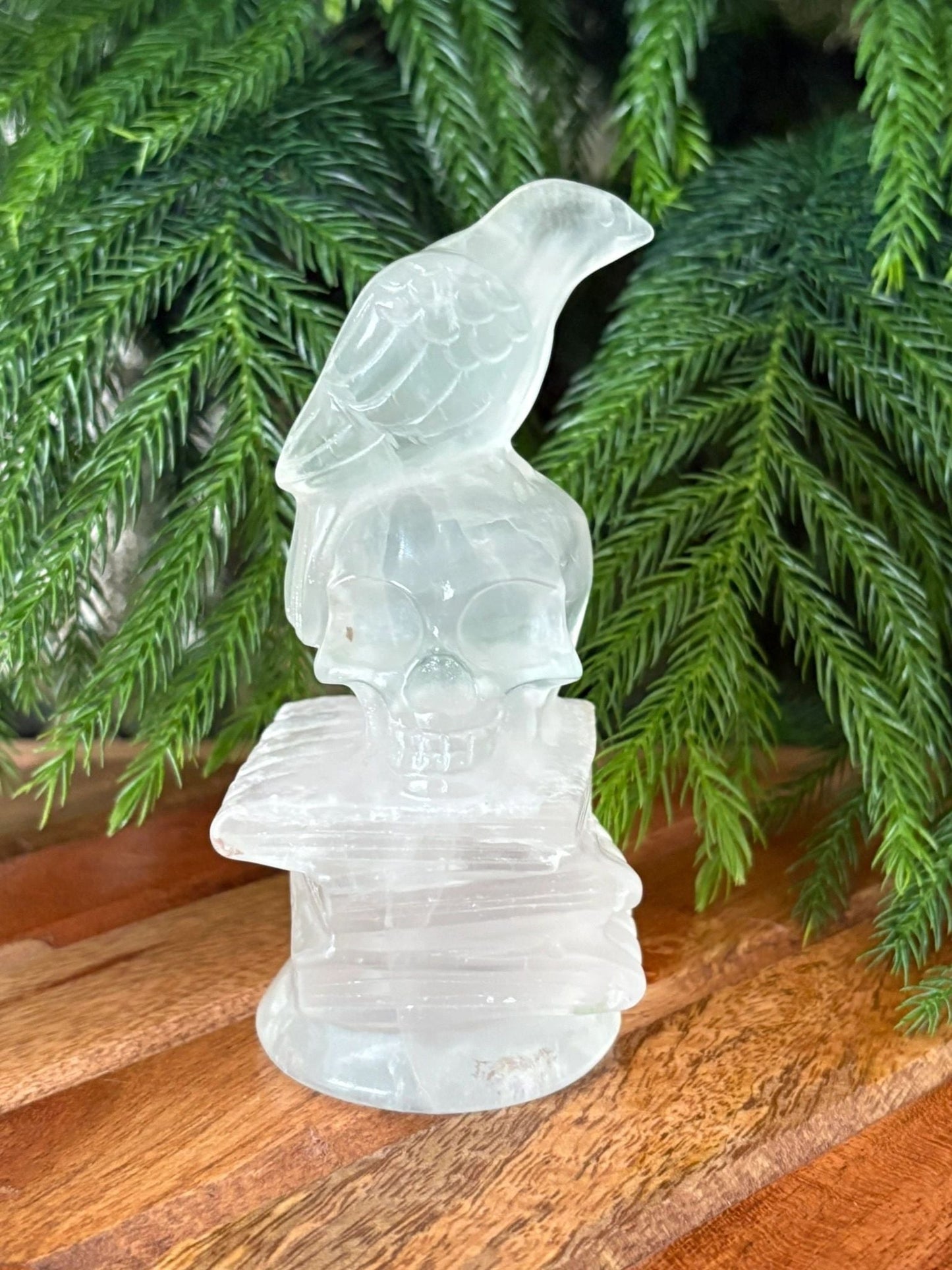 Raven on Skull & Books Statue – Wisdom, Transformation & Protection | Garnet, Red Vein Jasper, or Clear Quartz