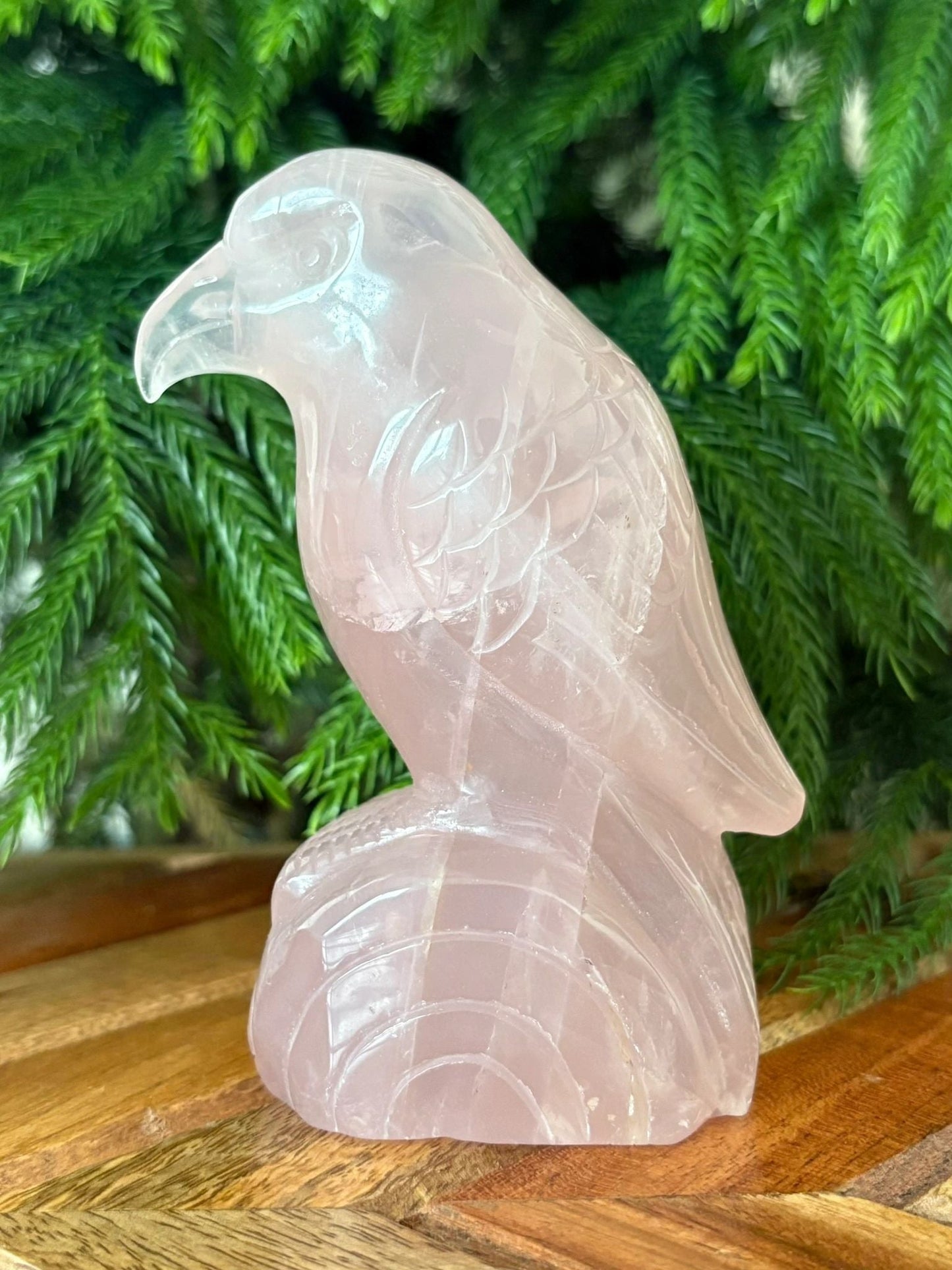 💗 Rose Quartz Raven on Log – Love, Renewal & Higher Insight | 1.3 lbs.