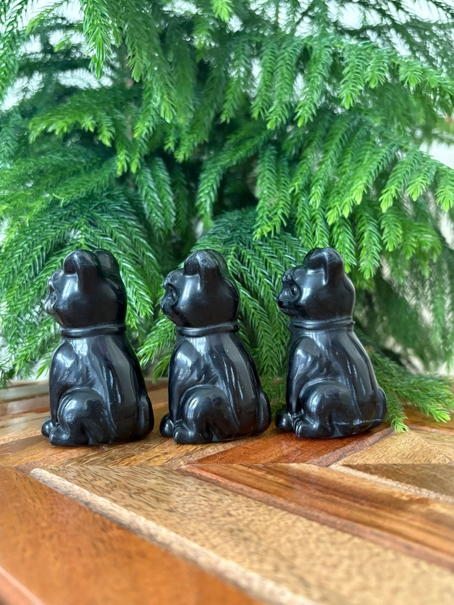 🖤 Black Obsidian Cat with Collar – Protection, Energetic Armor & Grounding | 5.1 oz